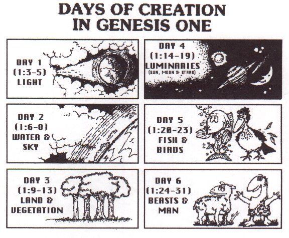 cs-1-6creation.jpg