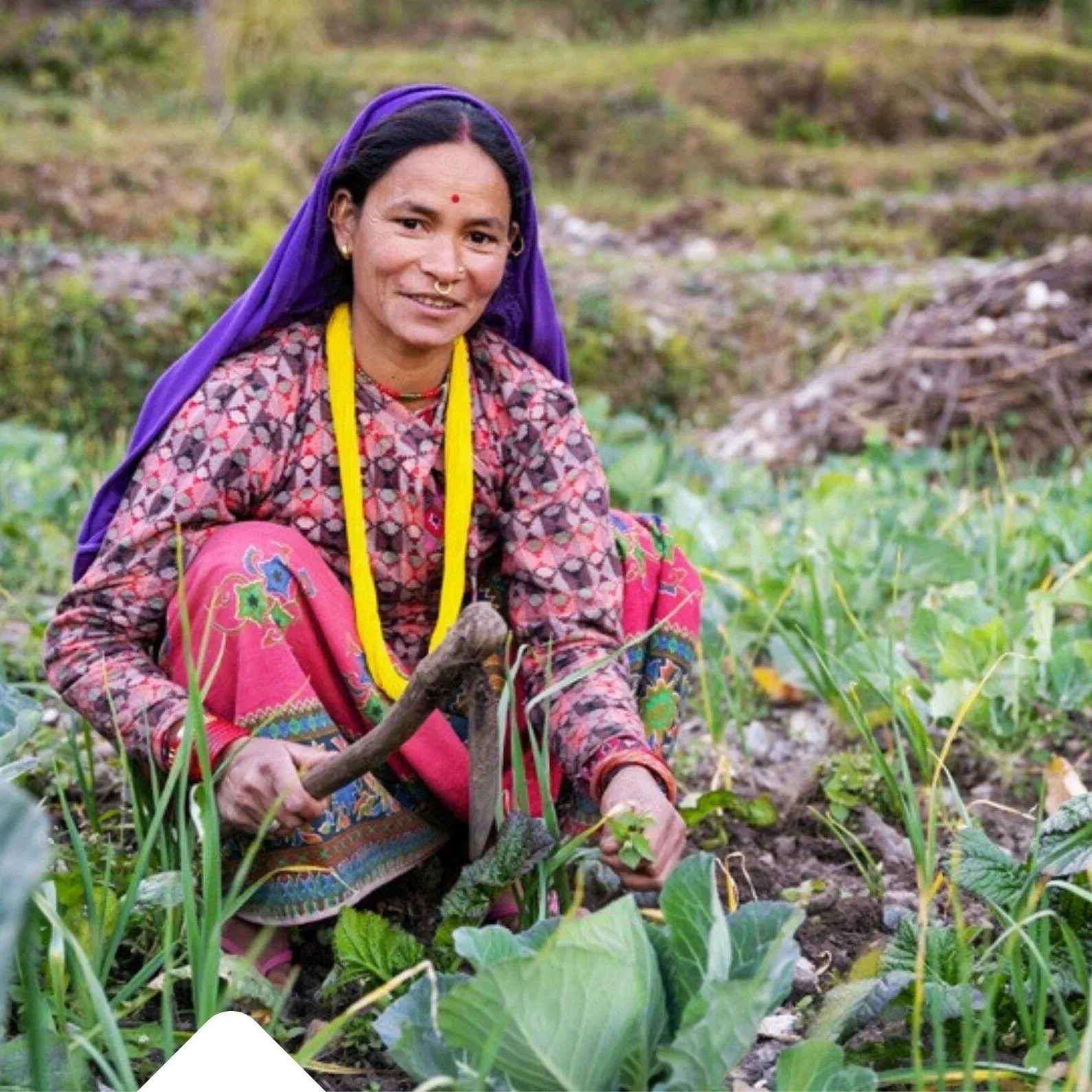 International Nepal Fellowship Australia