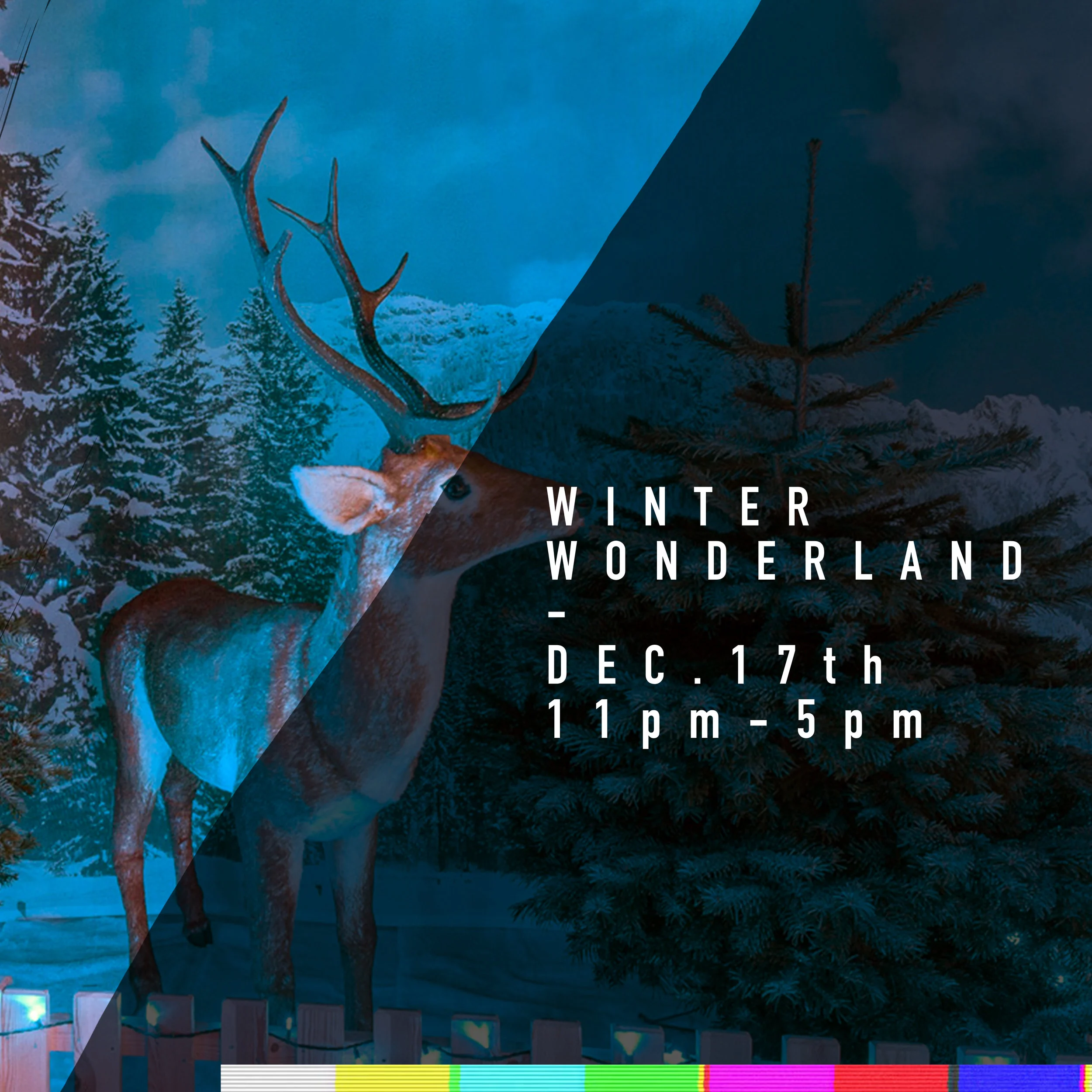 WINTER WONDERLAND