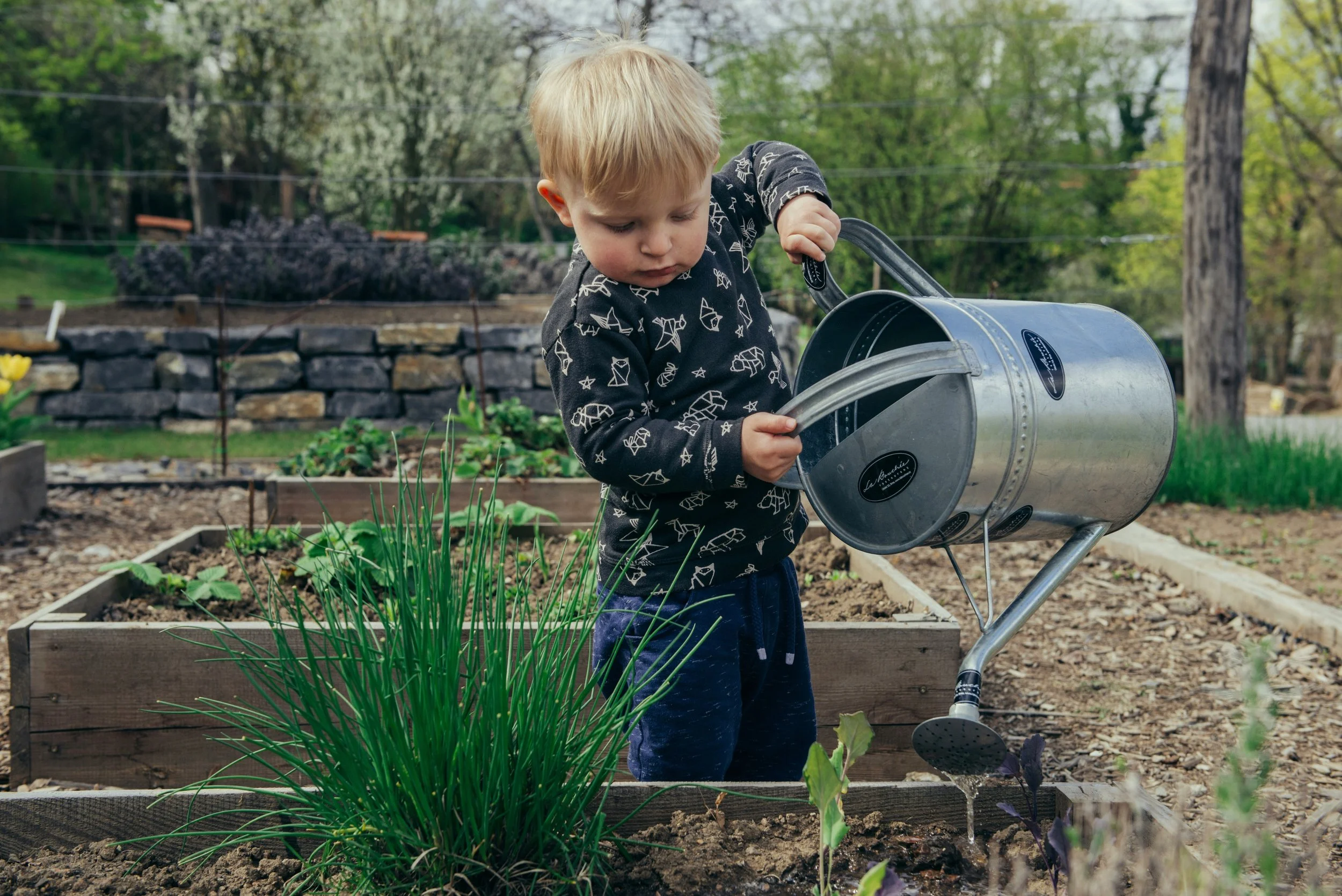 We're Growing Stuff