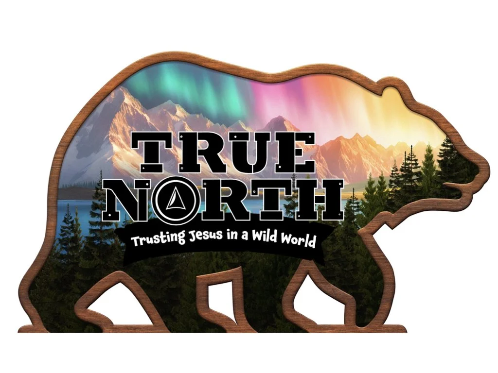 true North image.001.jpeg