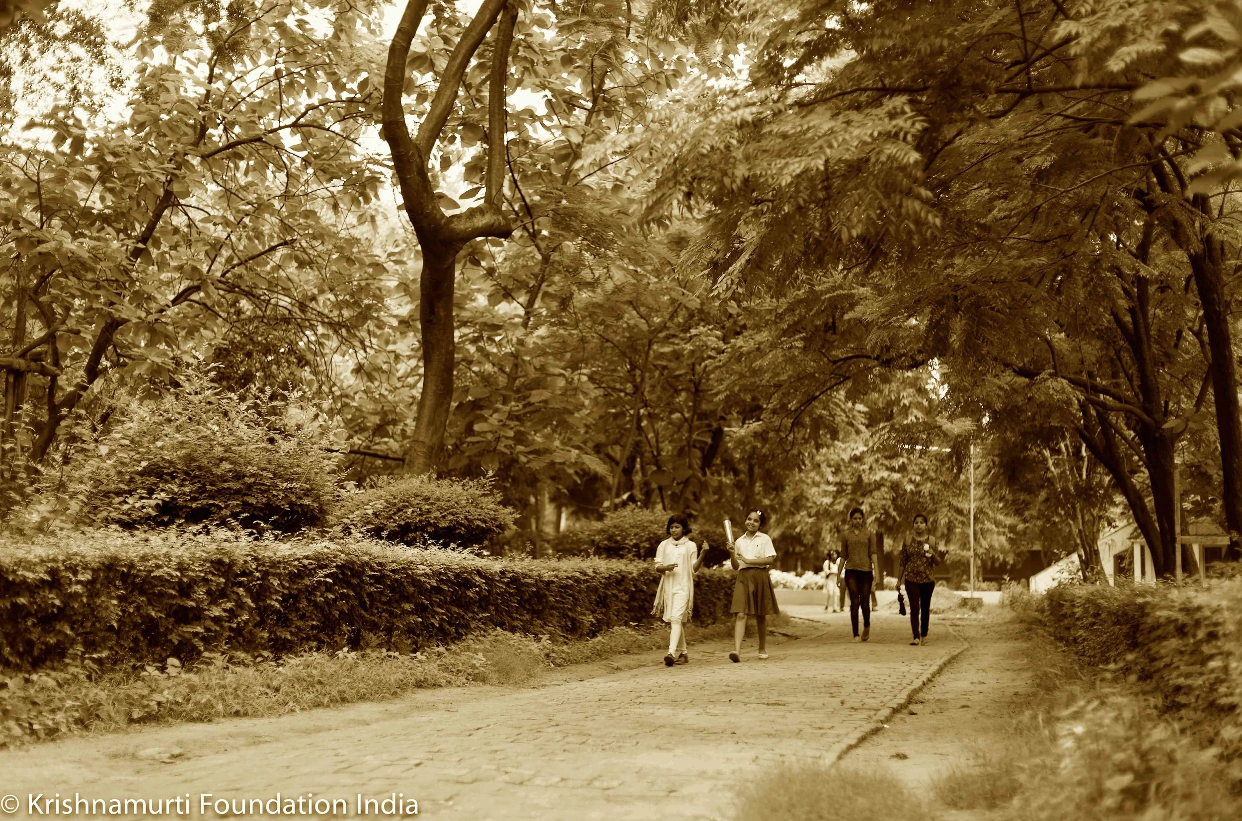 Rajghat Cultural Week 16-2.jpg