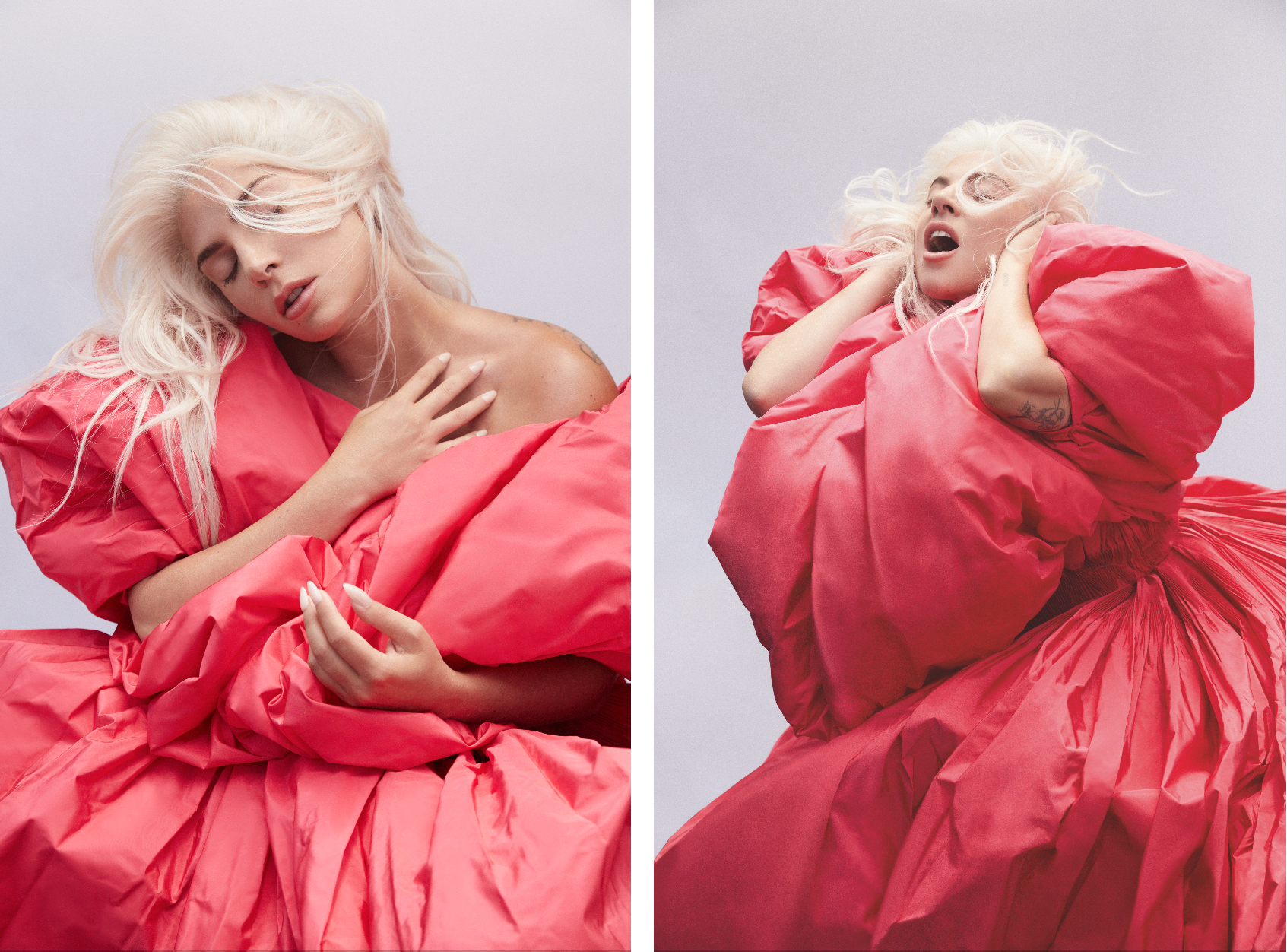 Lady Gaga x Valentino
