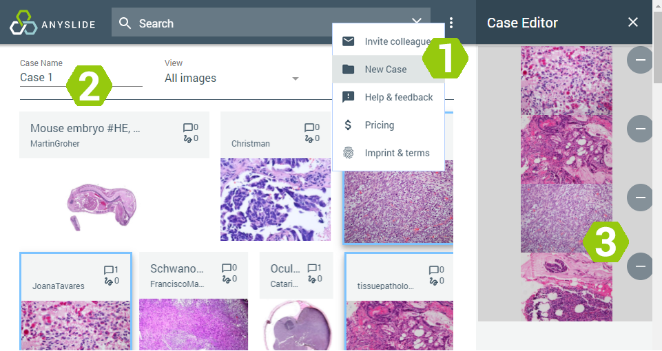 Anyslide-organize1.png