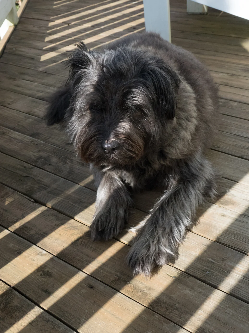 eliz_corsonP3291049.jpg
