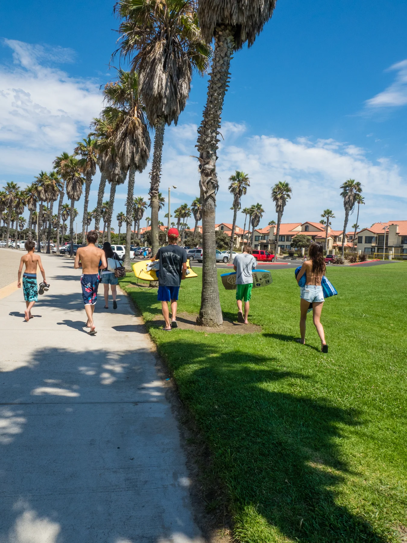 summer2017-8011216.jpg
