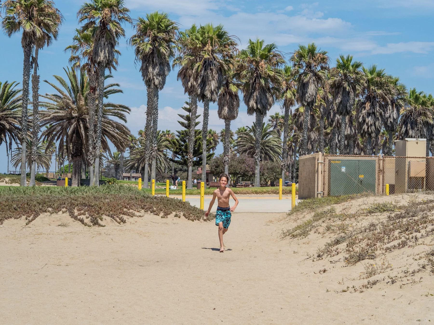 SEE SUMMER OF LOVE GALLERY