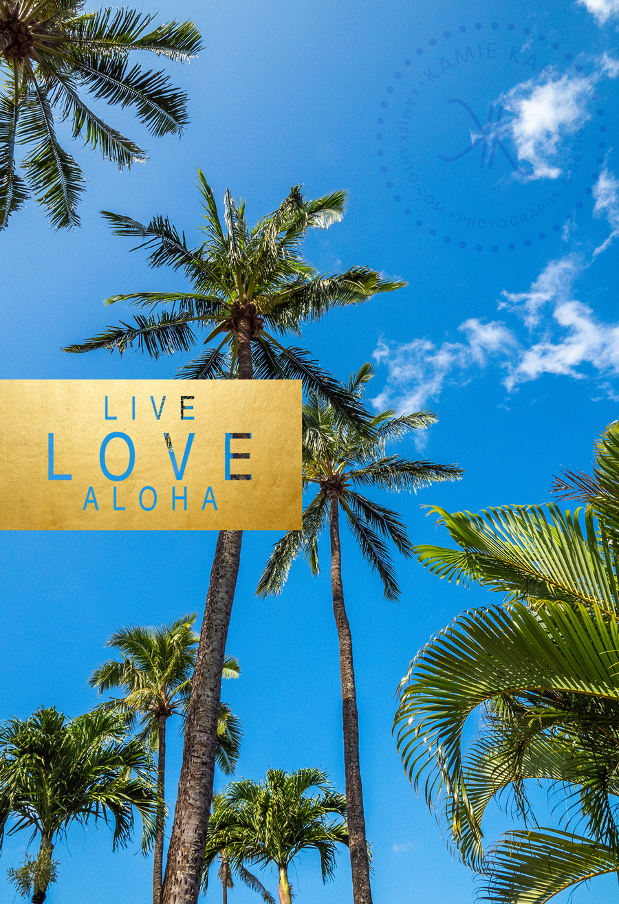 Live Love Aloha