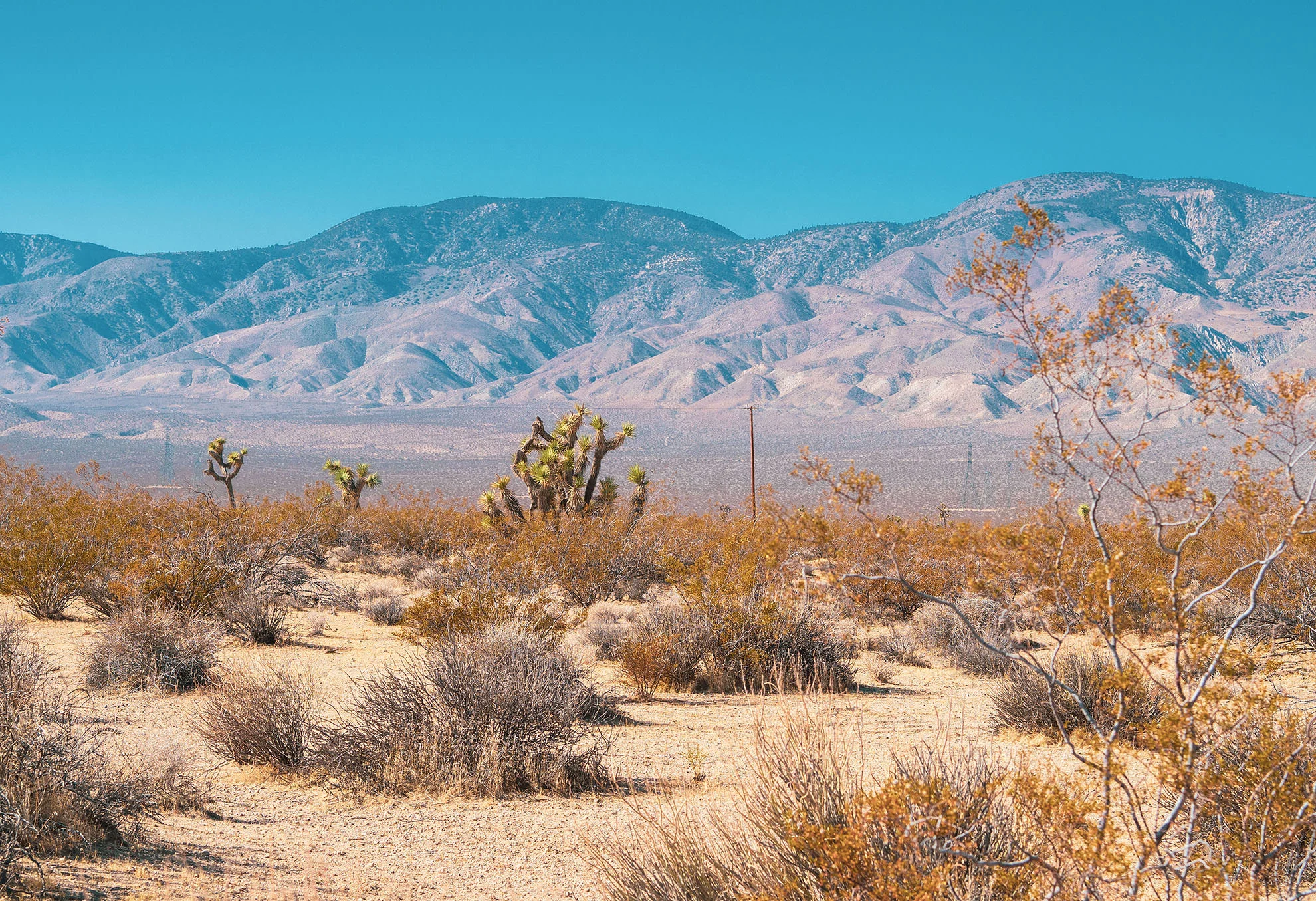 mojave-050375