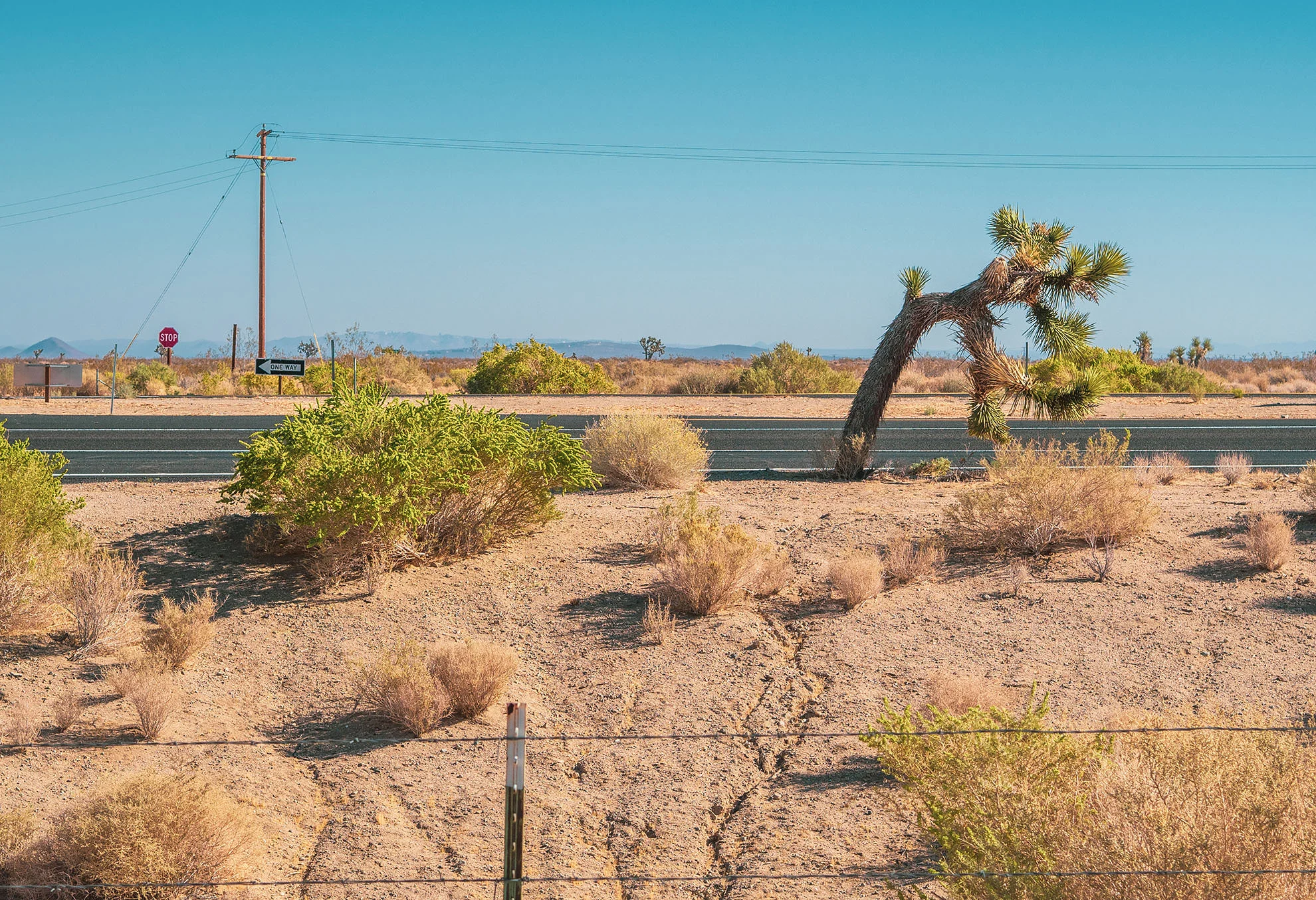 mojave-050415