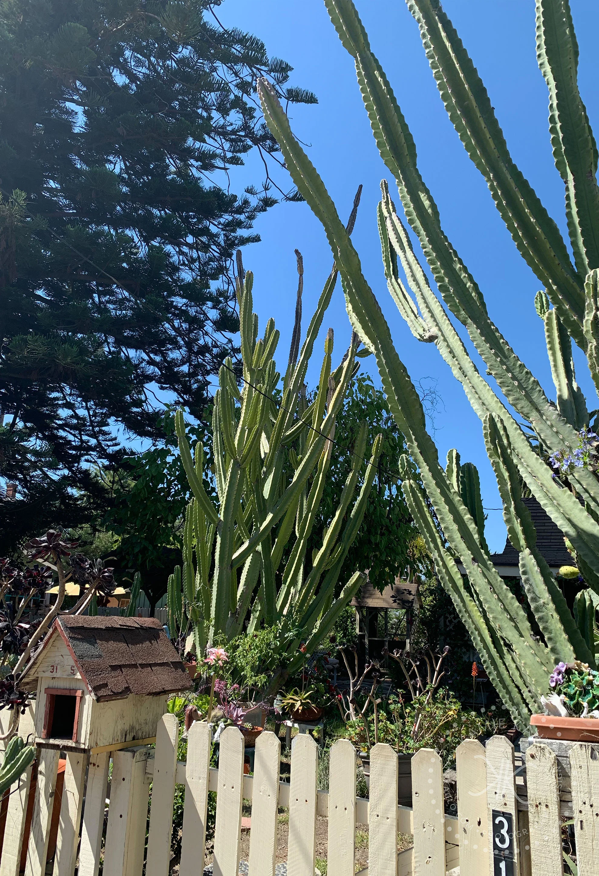 los-rios_2188