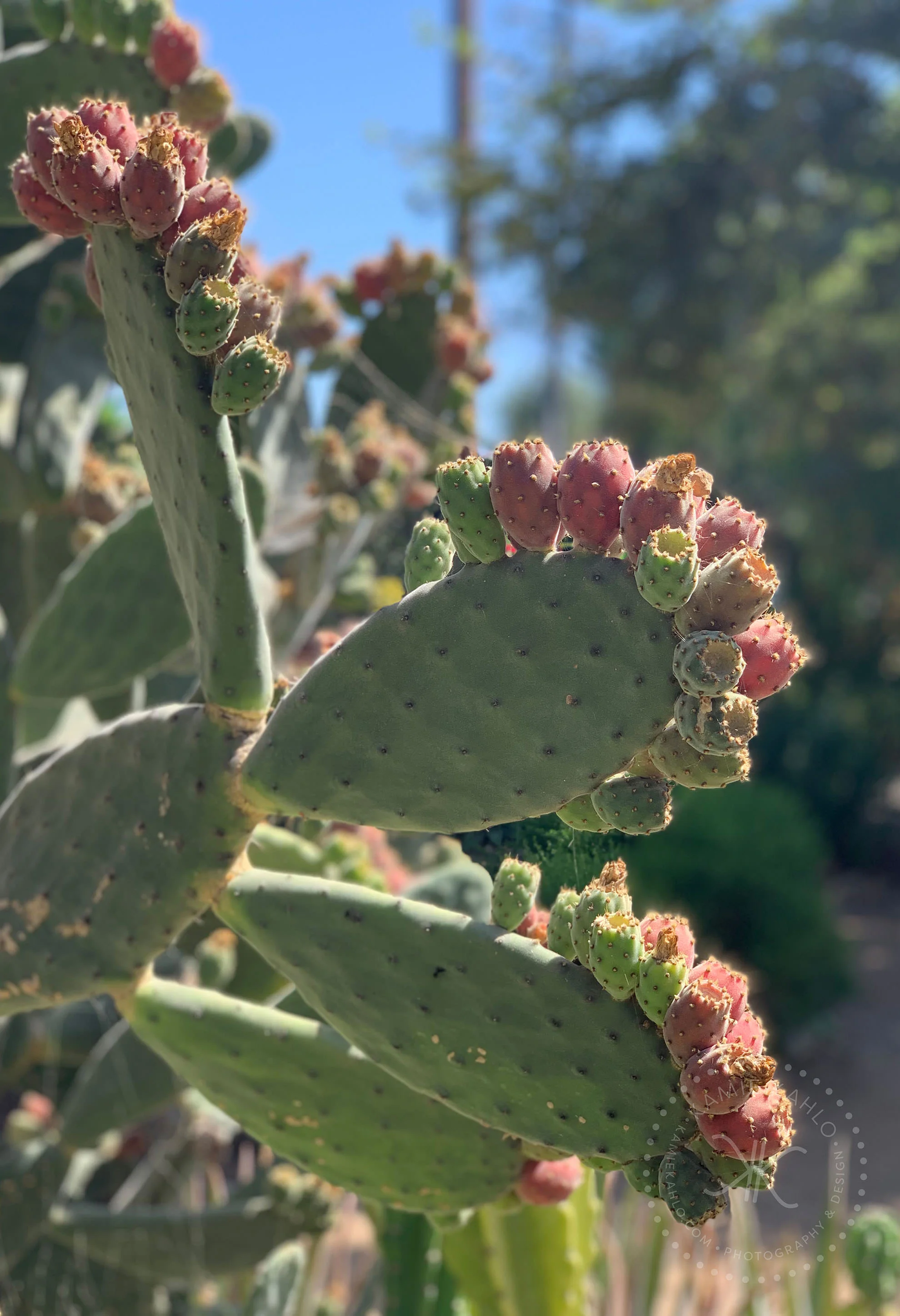 los-rios_2210
