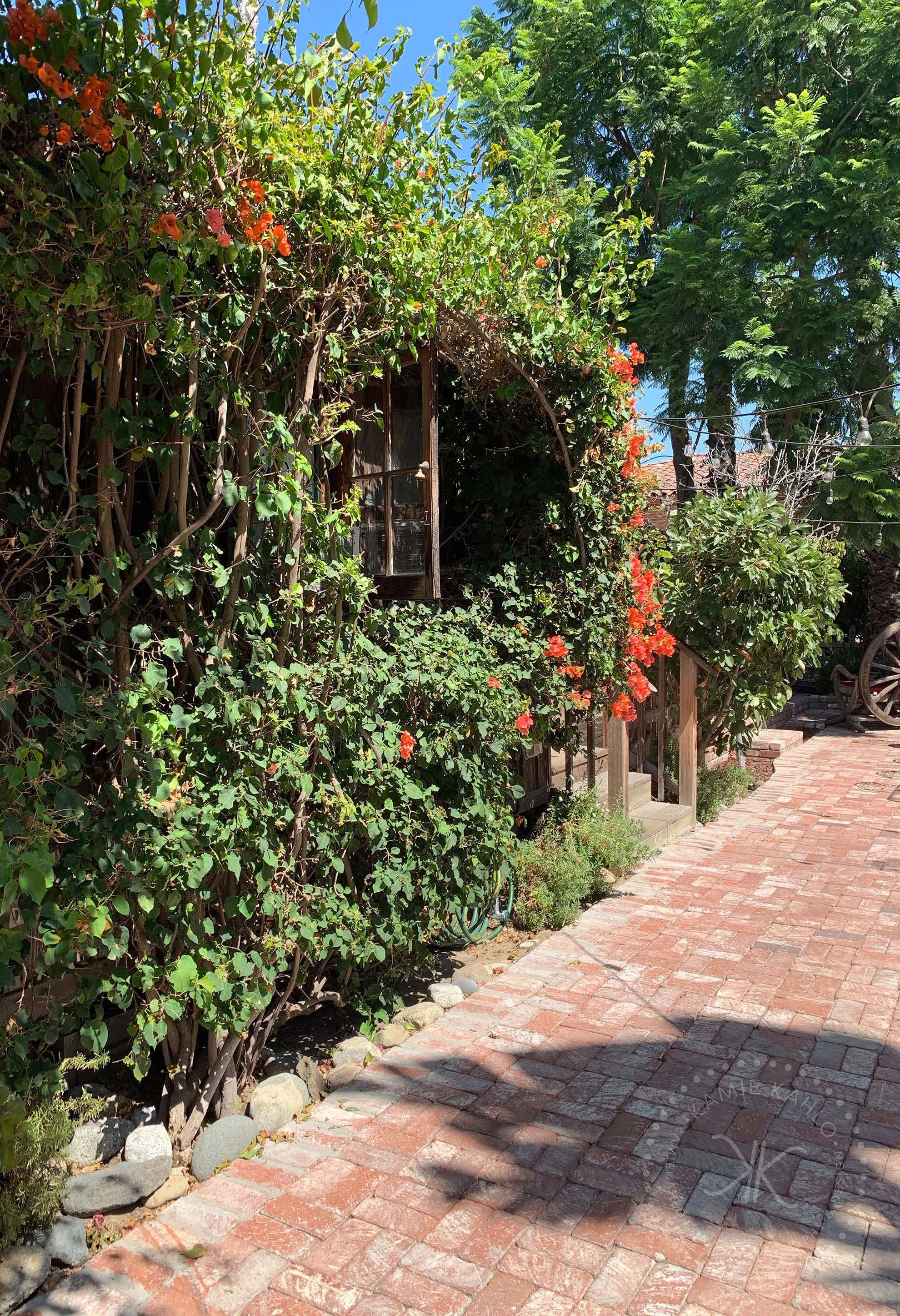 los-rios_2203
