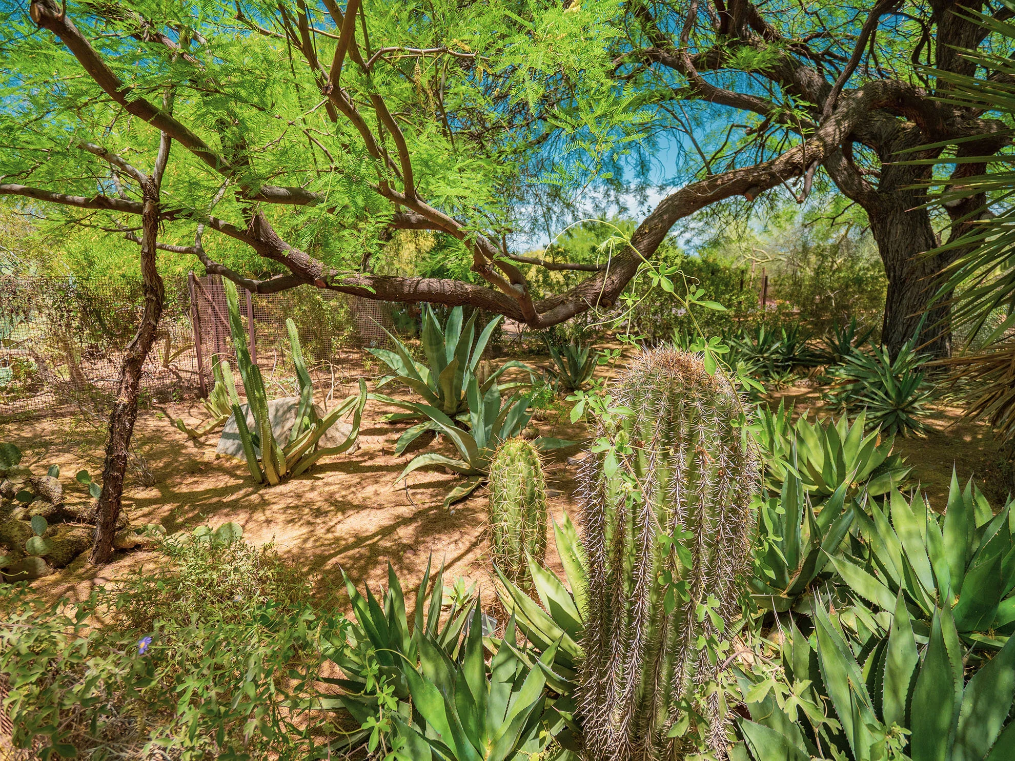 az-botanical-5110152