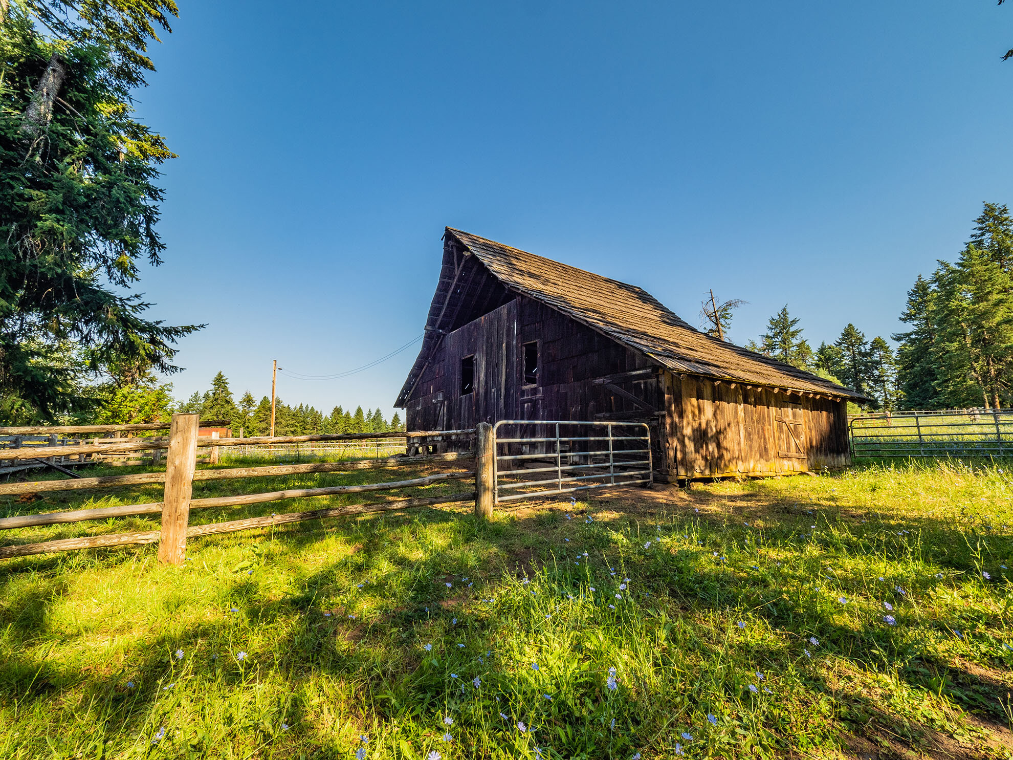 barn-idaho2020-7290112.jpg