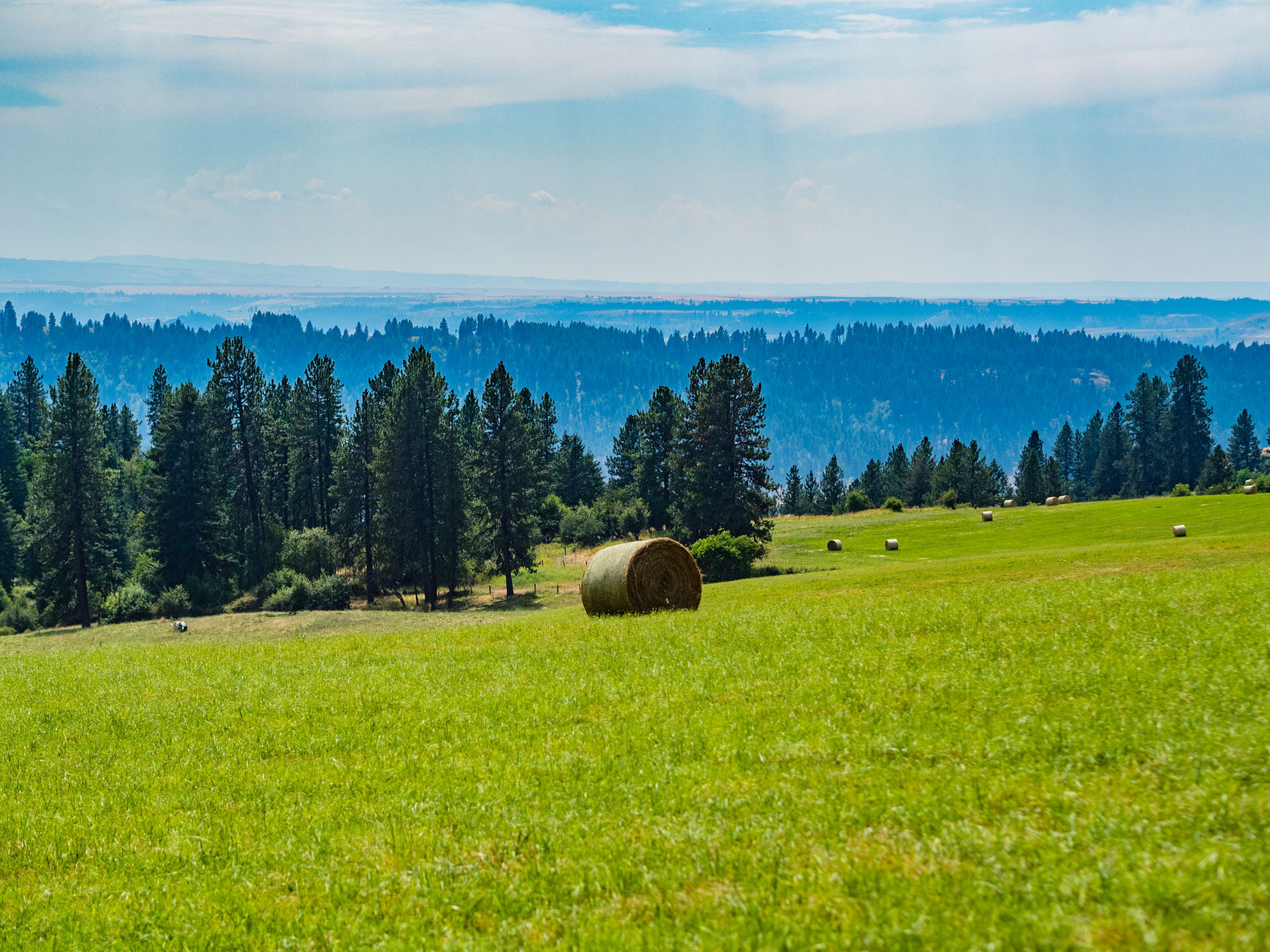 ranch-views-idaho2020-2-3.jpg