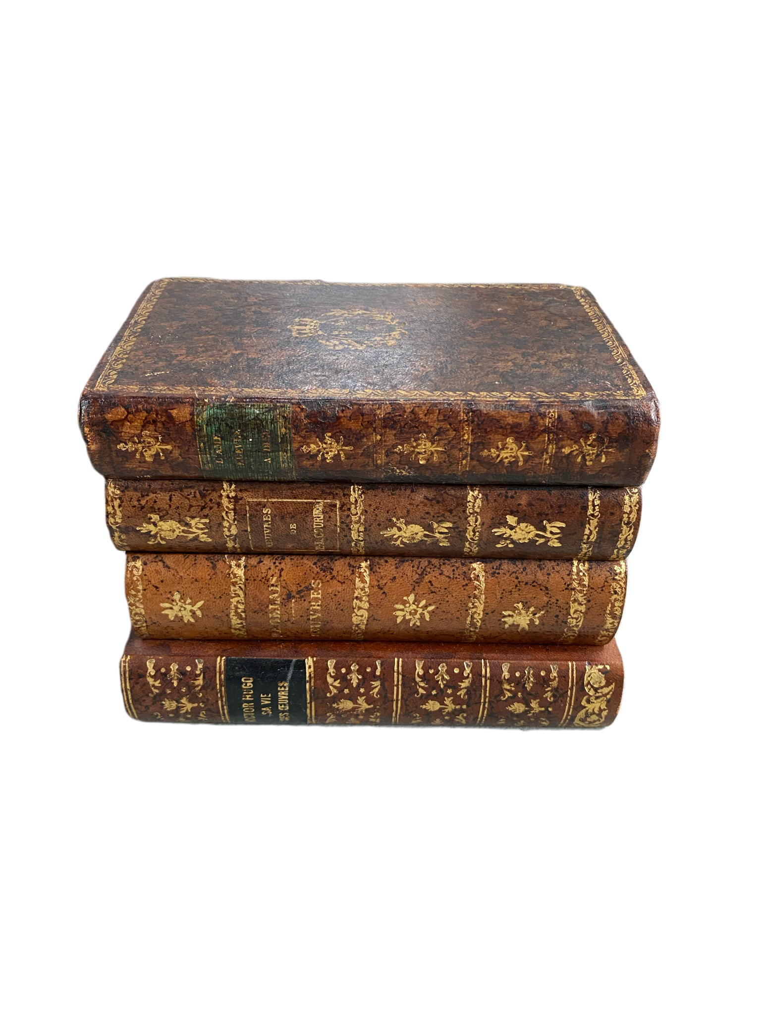 A97F59E7-37D1-423E-83BA-7BB1D03E173B