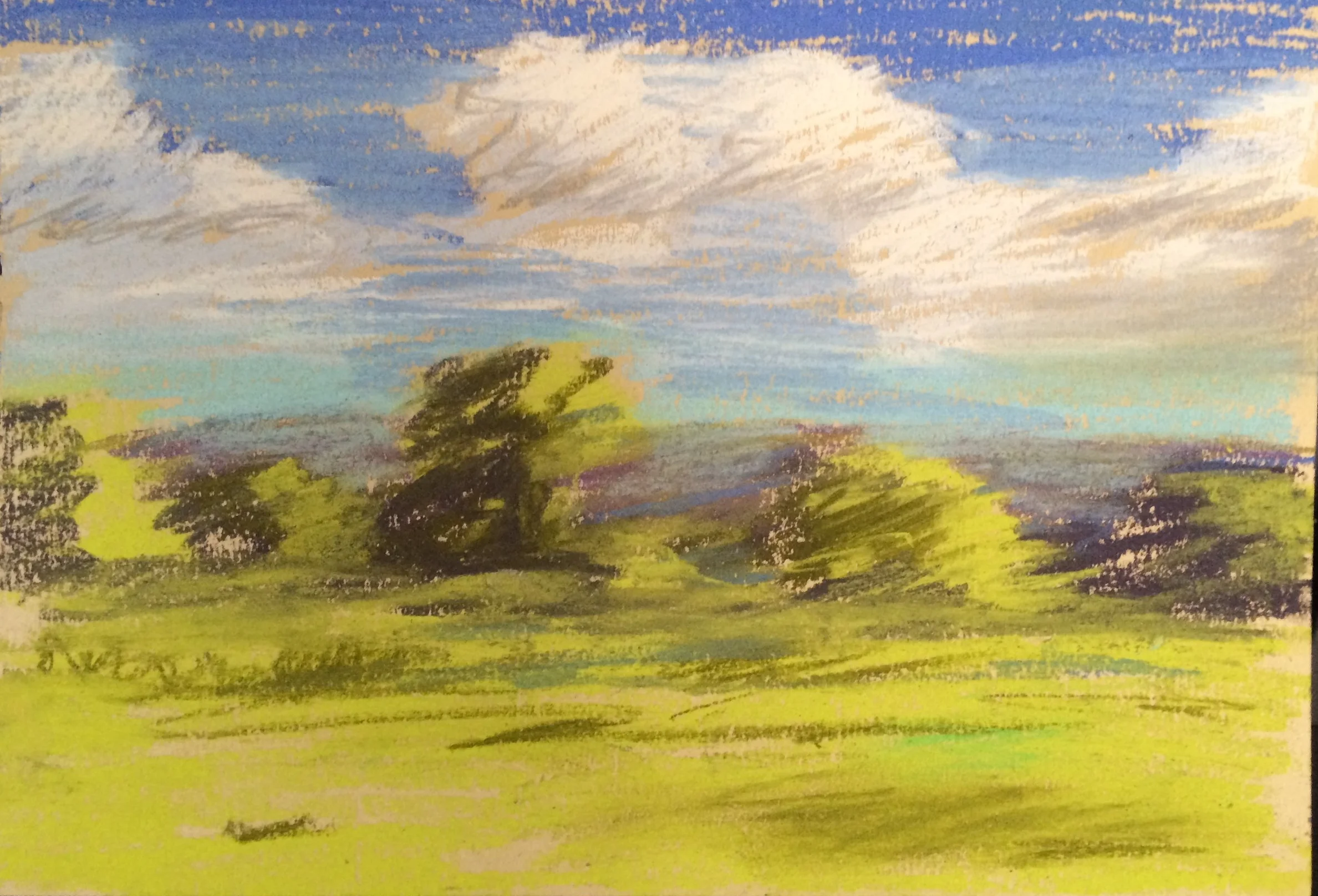 Normandy fields