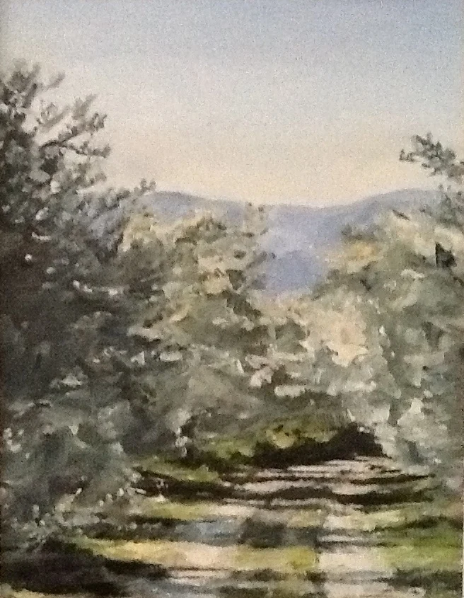 Olive grove