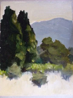 Cypresses - Provence