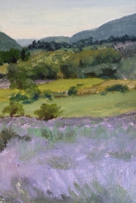 Lavender fields - Provence