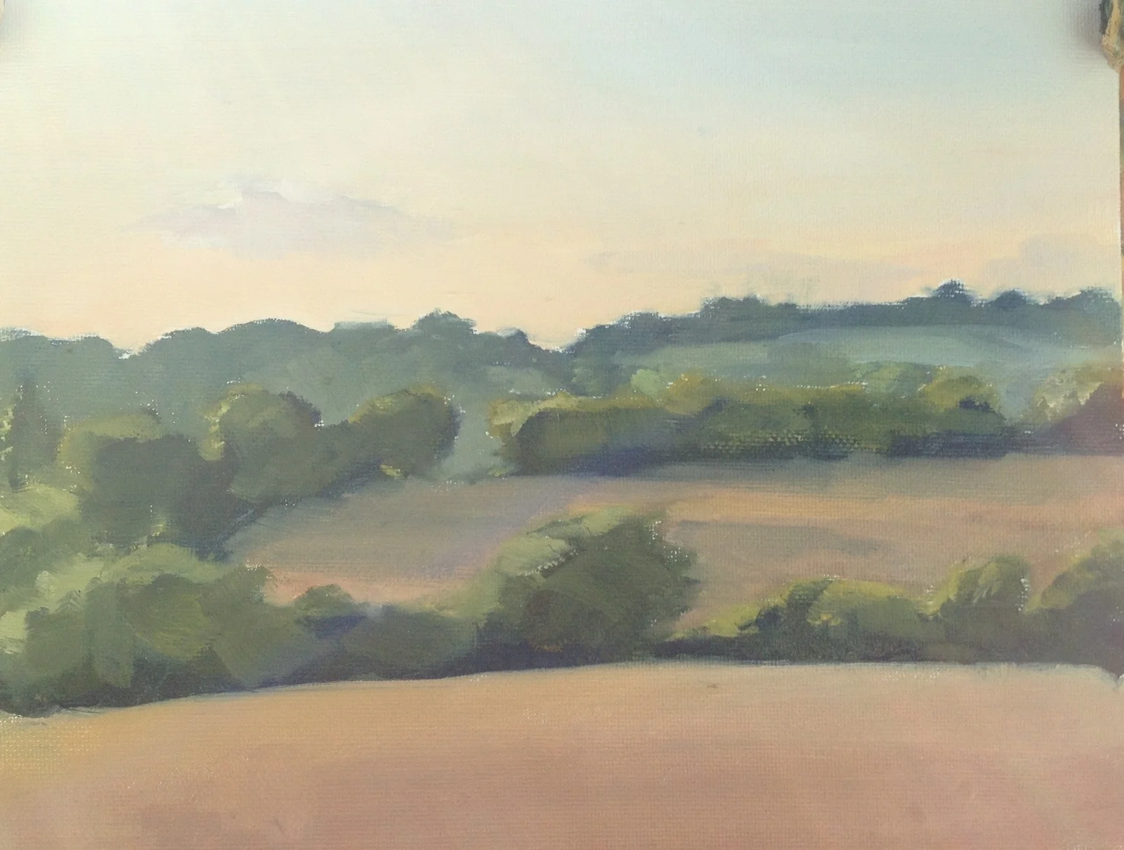 Evening light near North Marden
