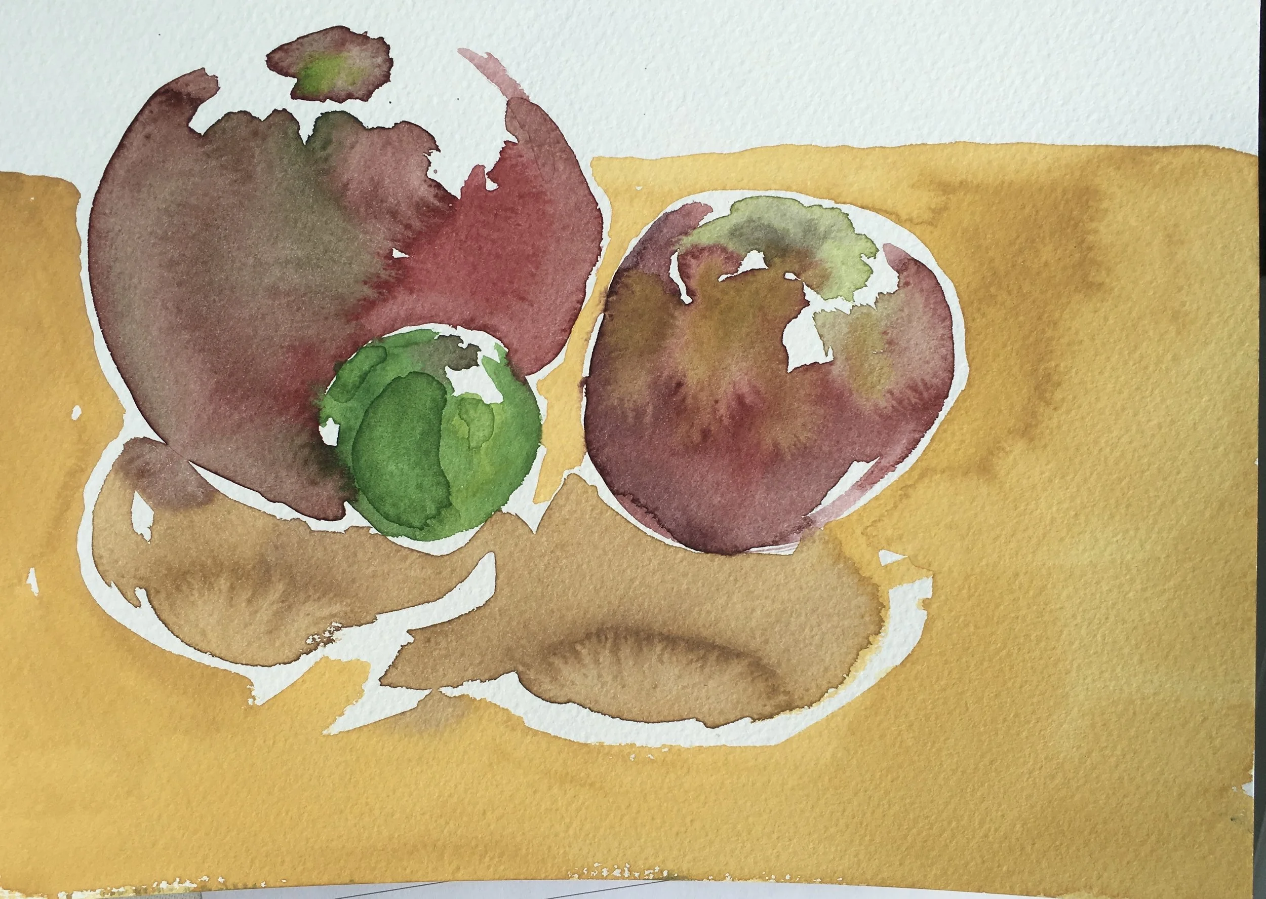 two apples watercolour on paper 10x7in