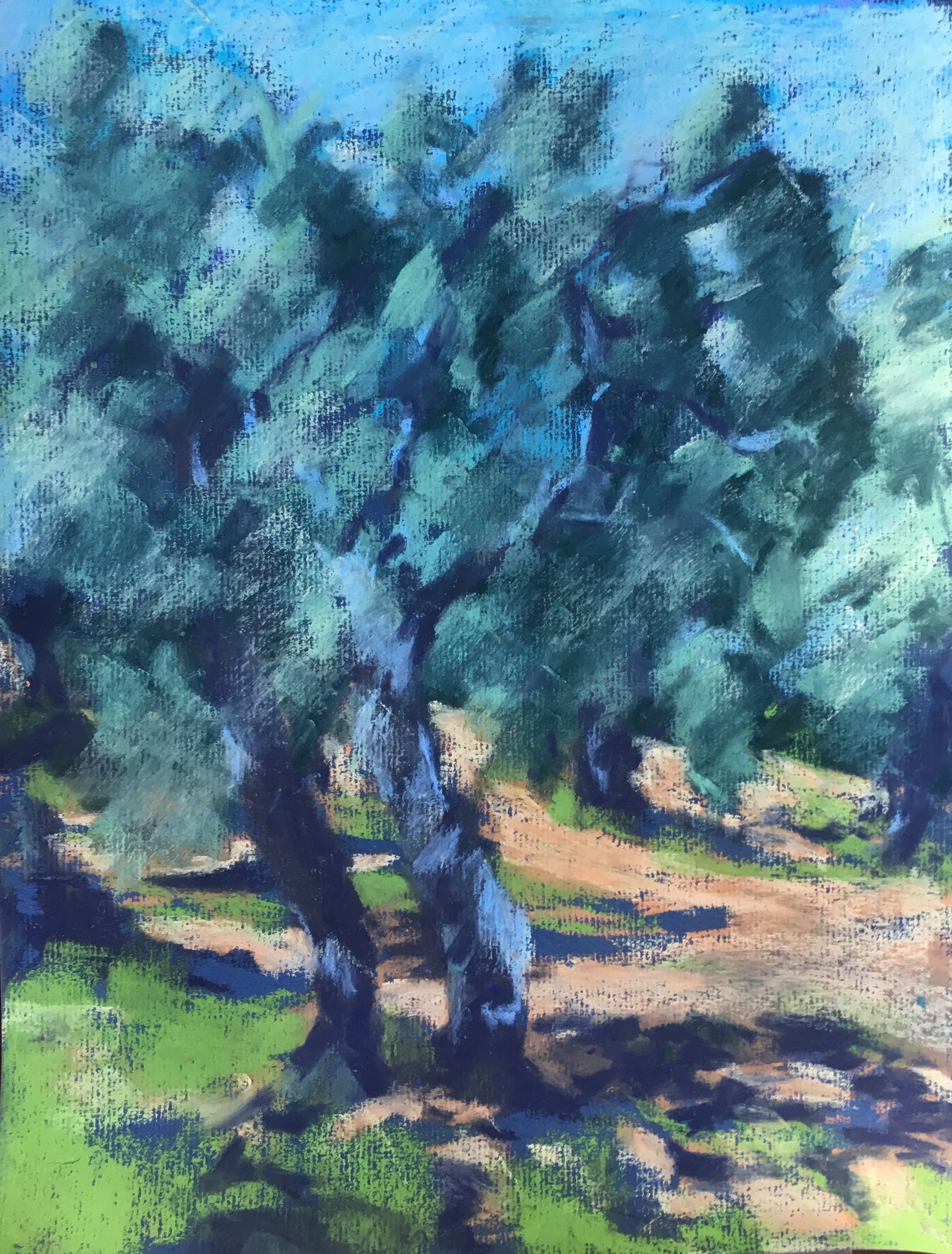 Olive Tree