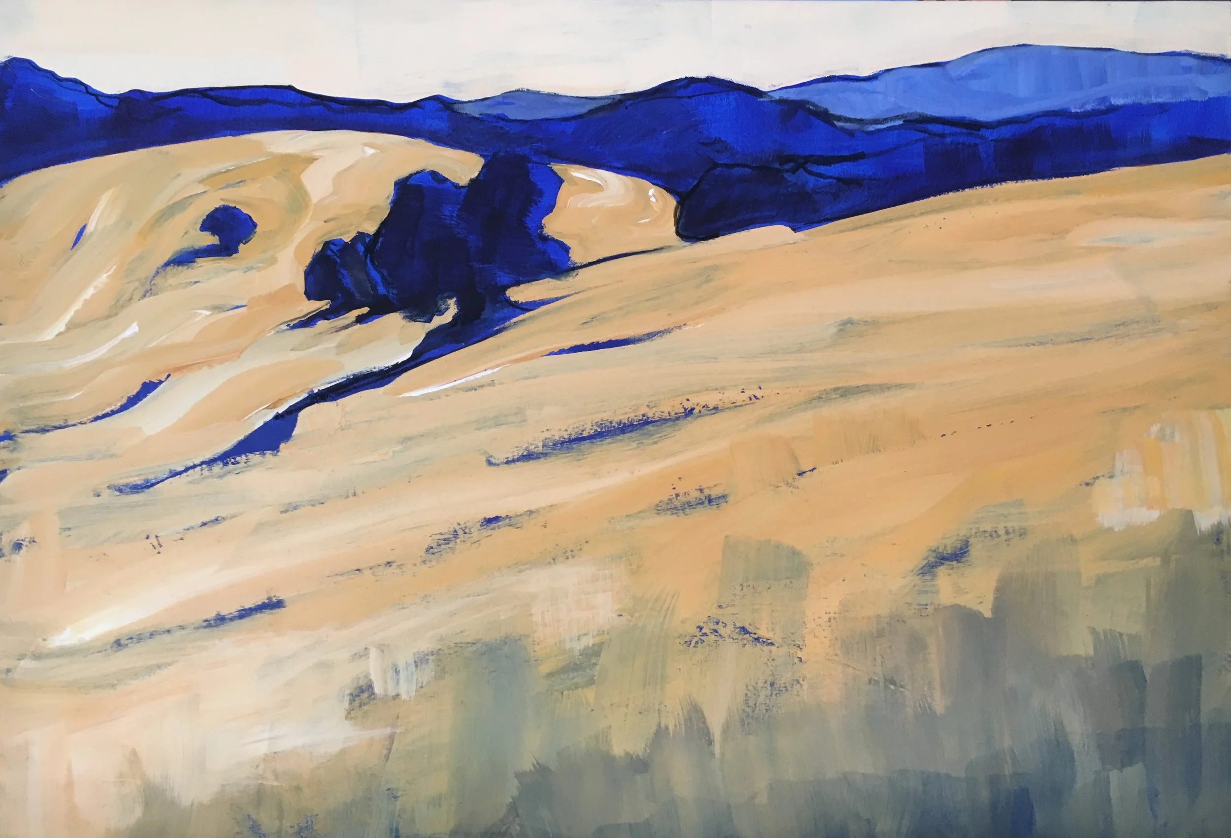 Field in Summer - Umbria