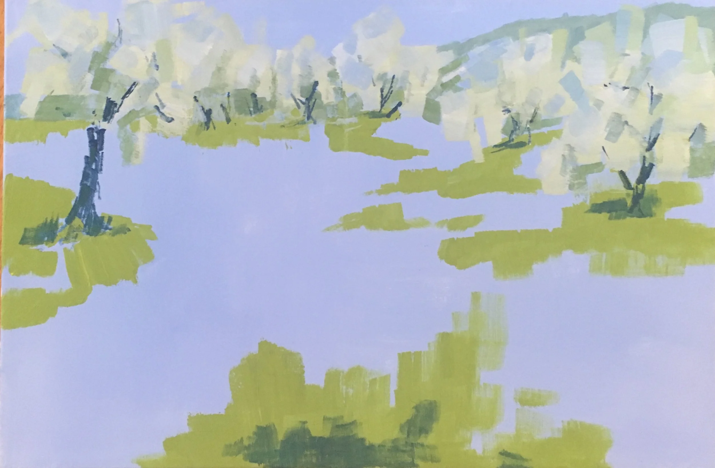spring olive grove