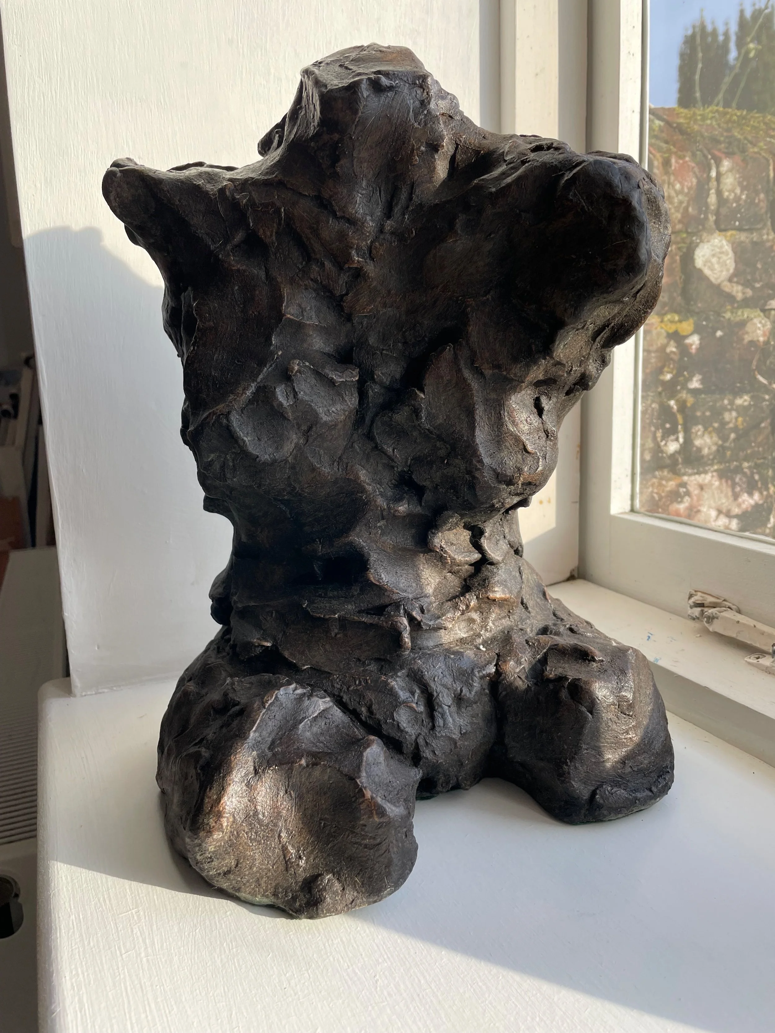 Torso 1