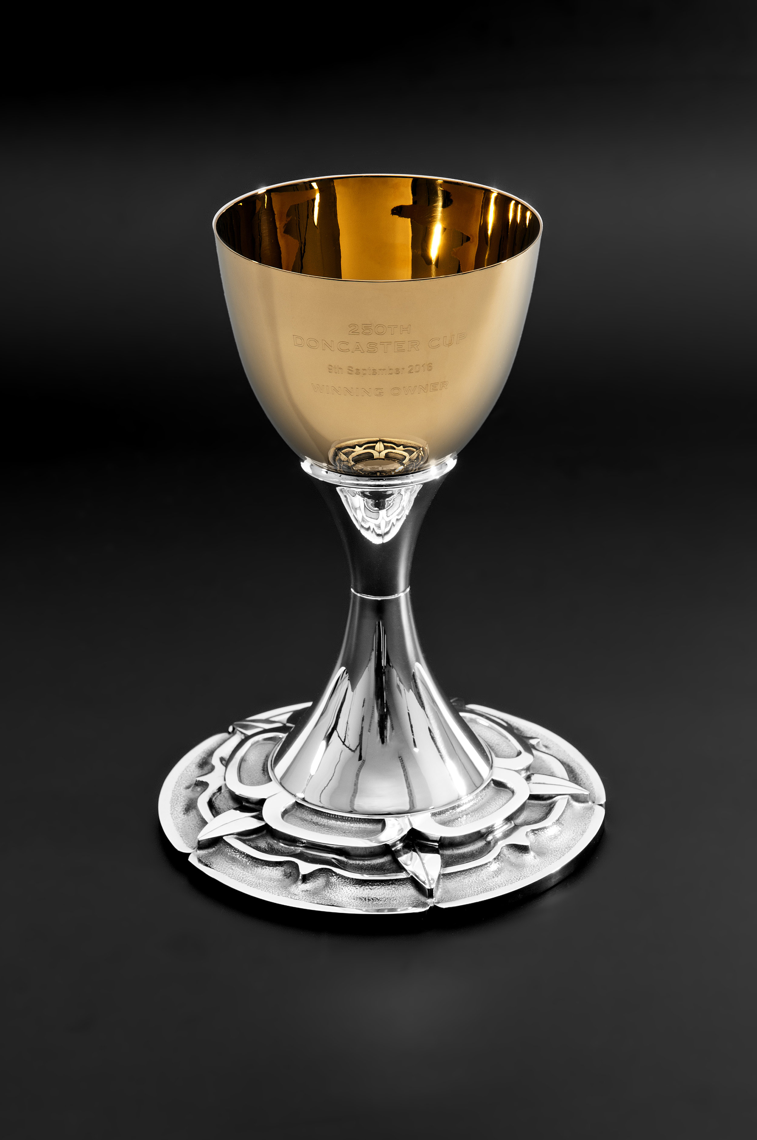 The 250 Doncaster Gold Cup