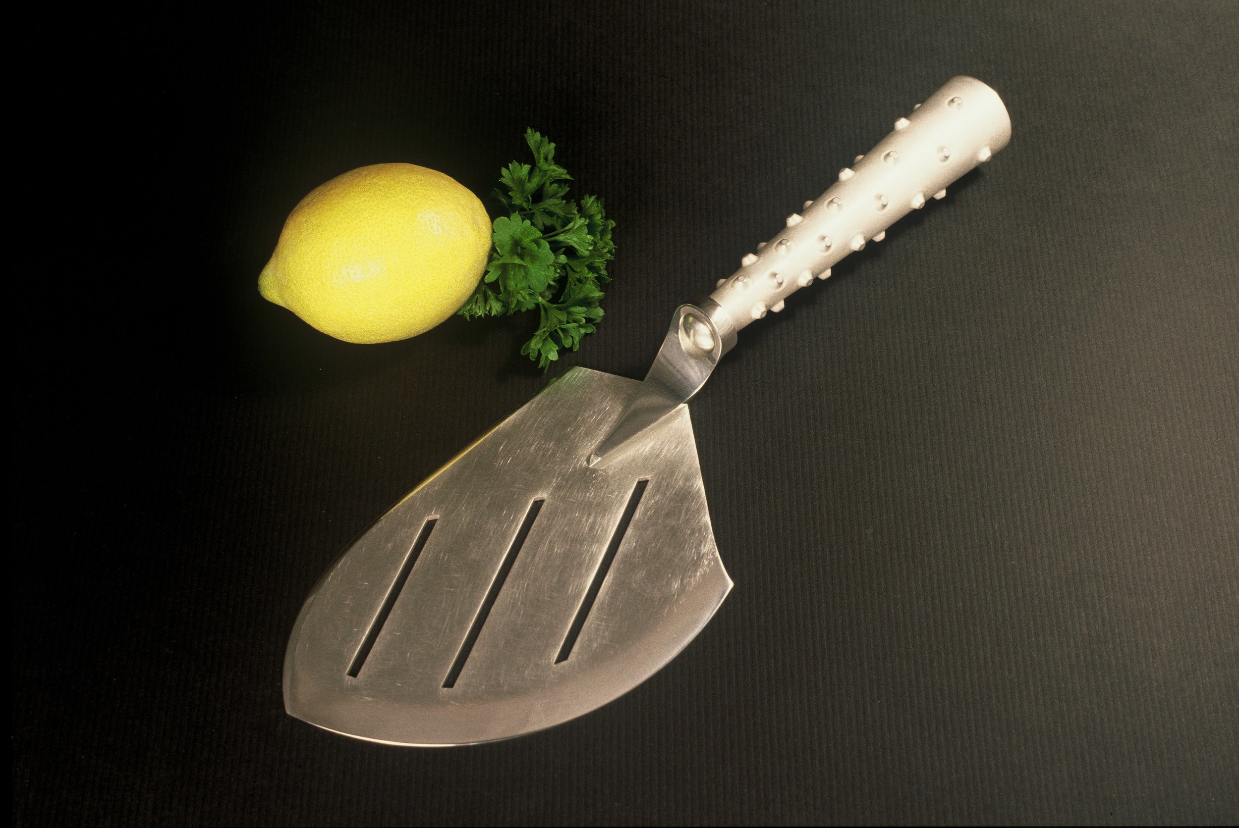 Fish Slice