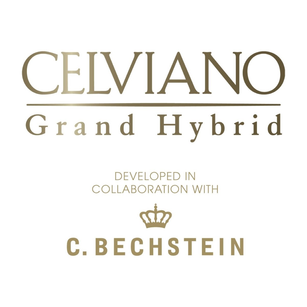 Celviano Grand hybrid C. Bechstein logo