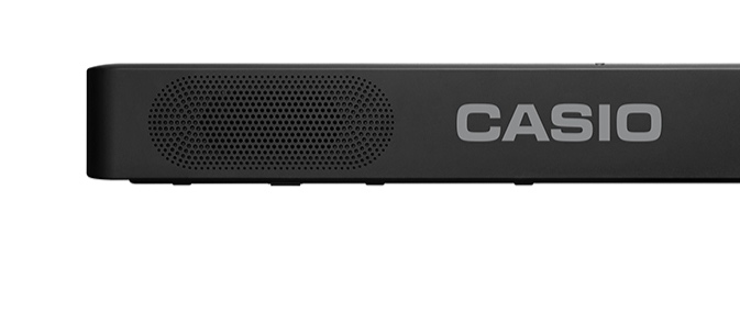 CDP-S100BK_Terminal.jpg