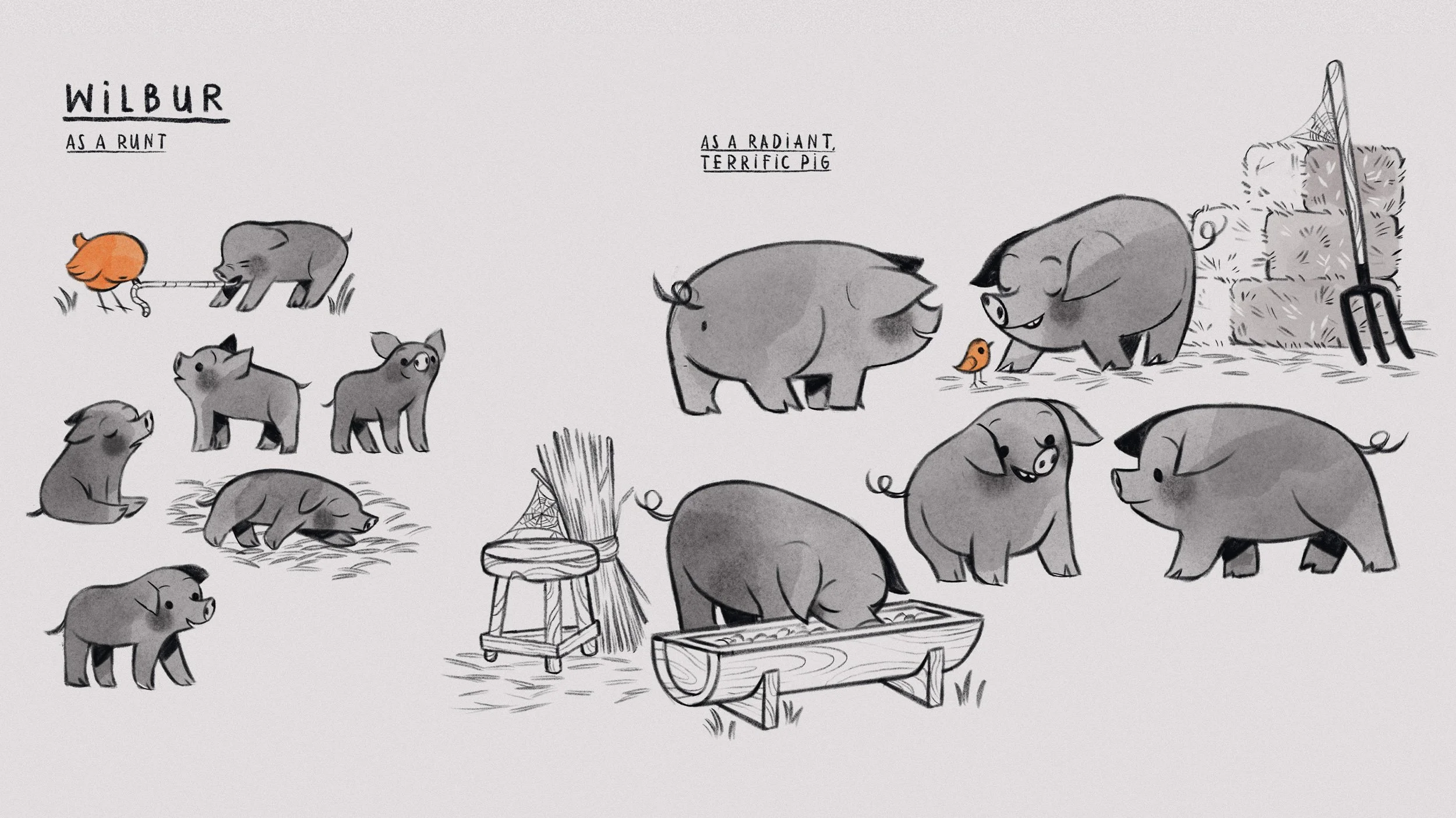 Wilbur-CharacterDesign-Johanna-Springer.jpg