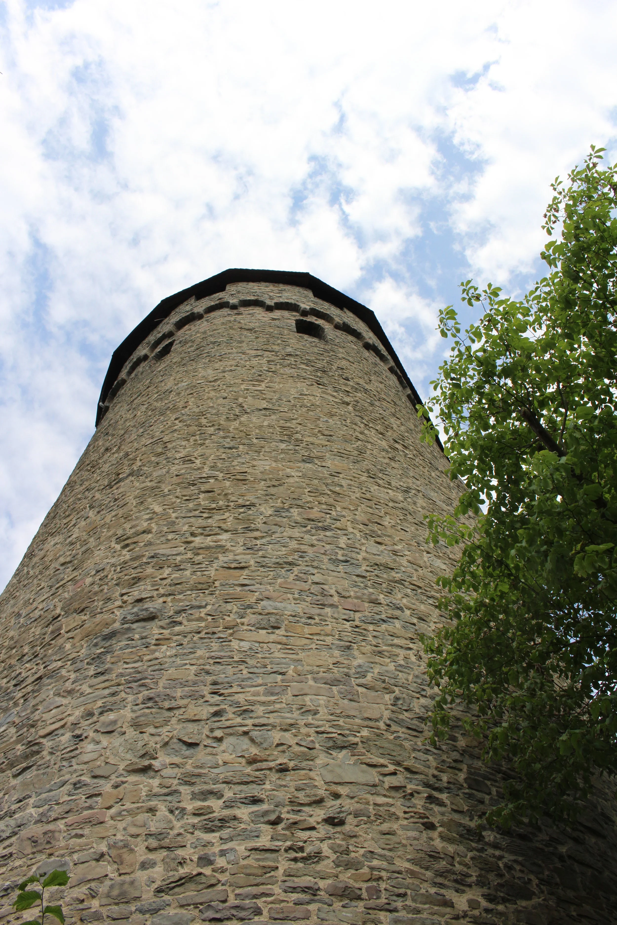 IMG_6266.JPG
