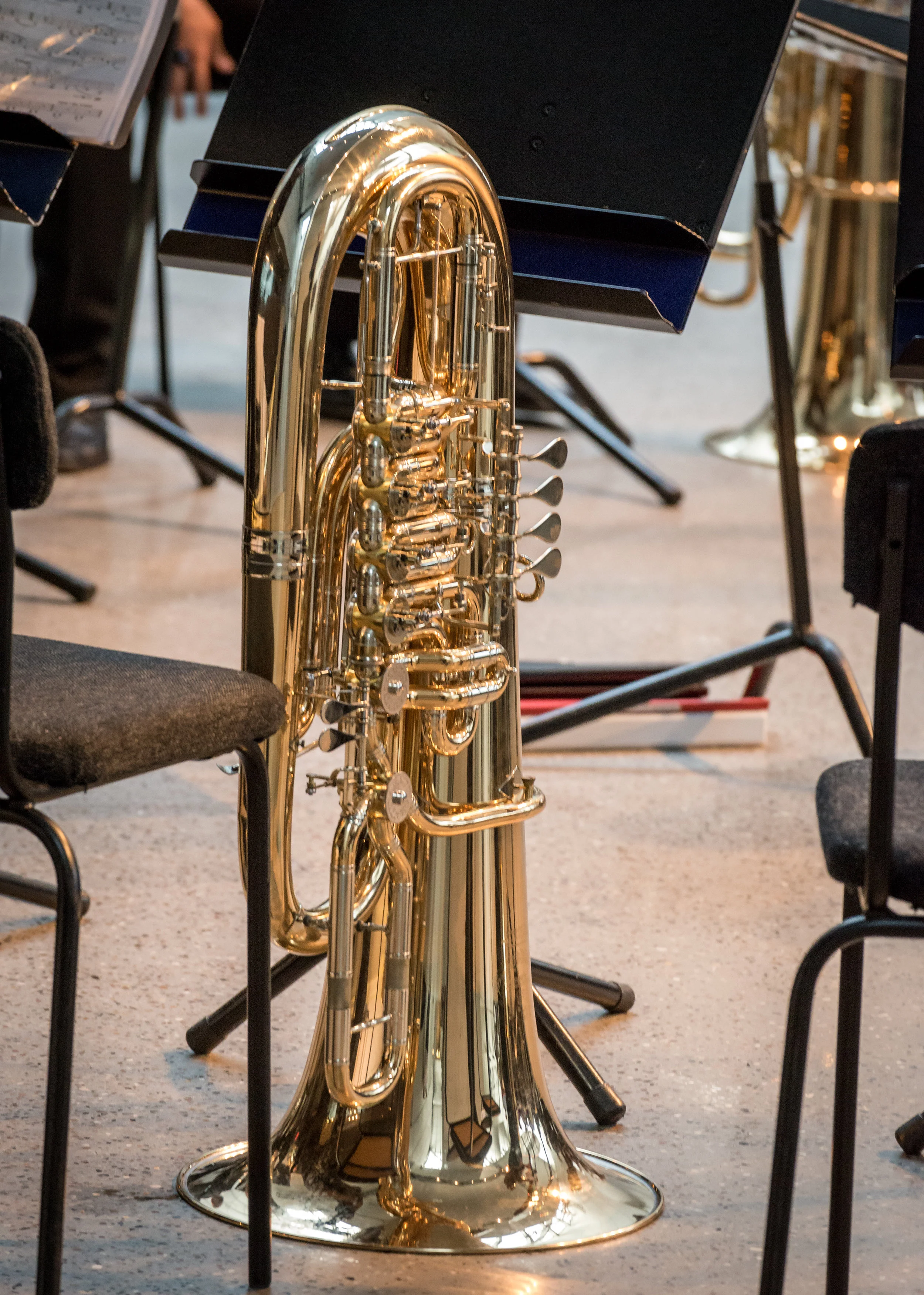 Tuba.jpg