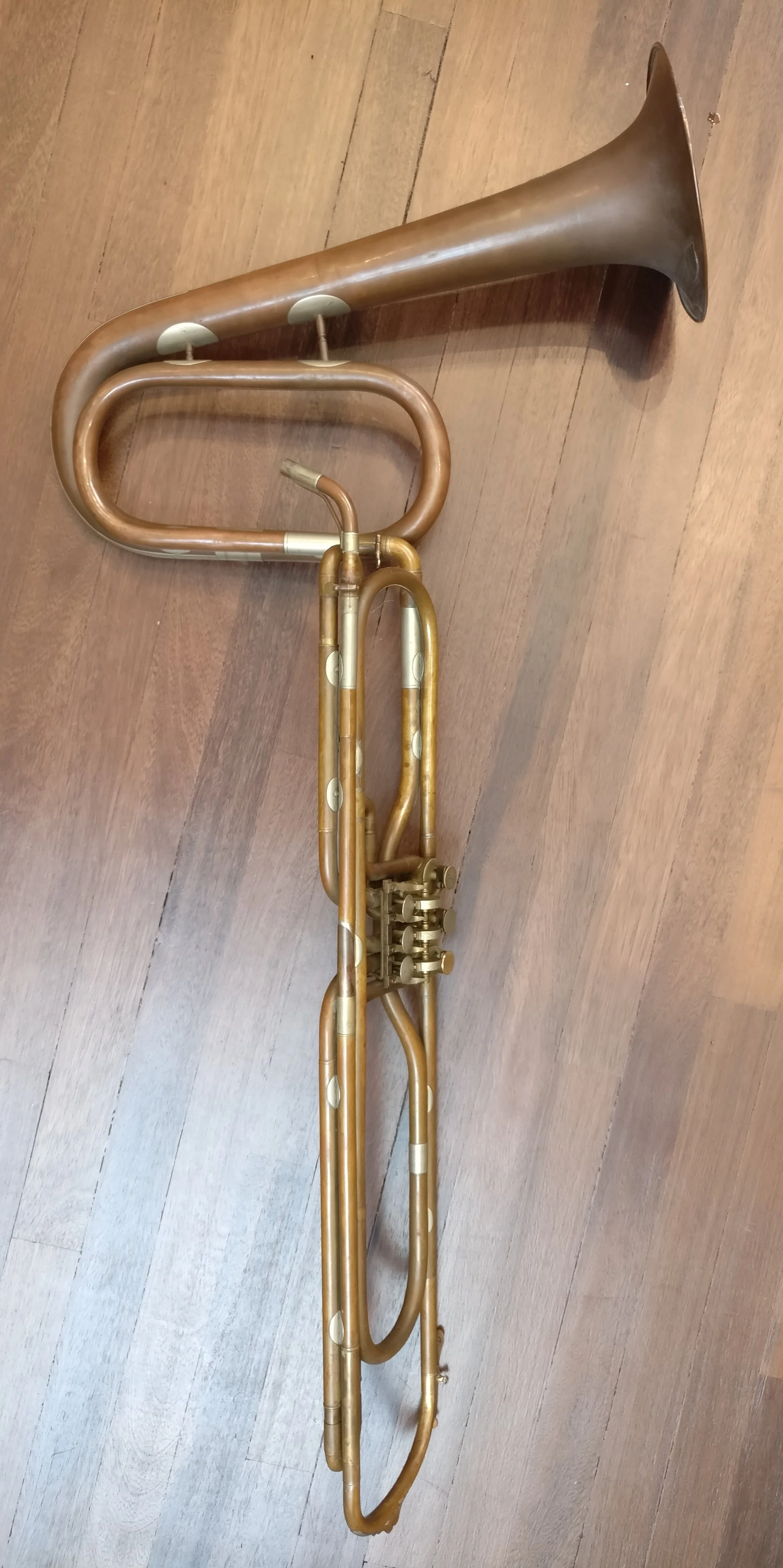 'Verdi' cimbasso (Orsi).jpg