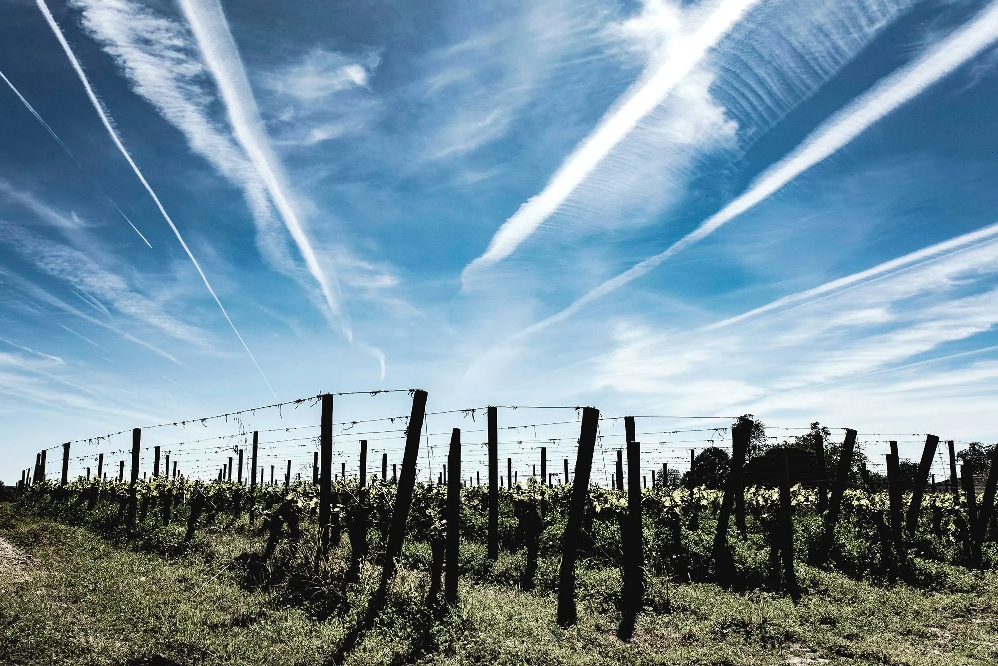 Pomerol