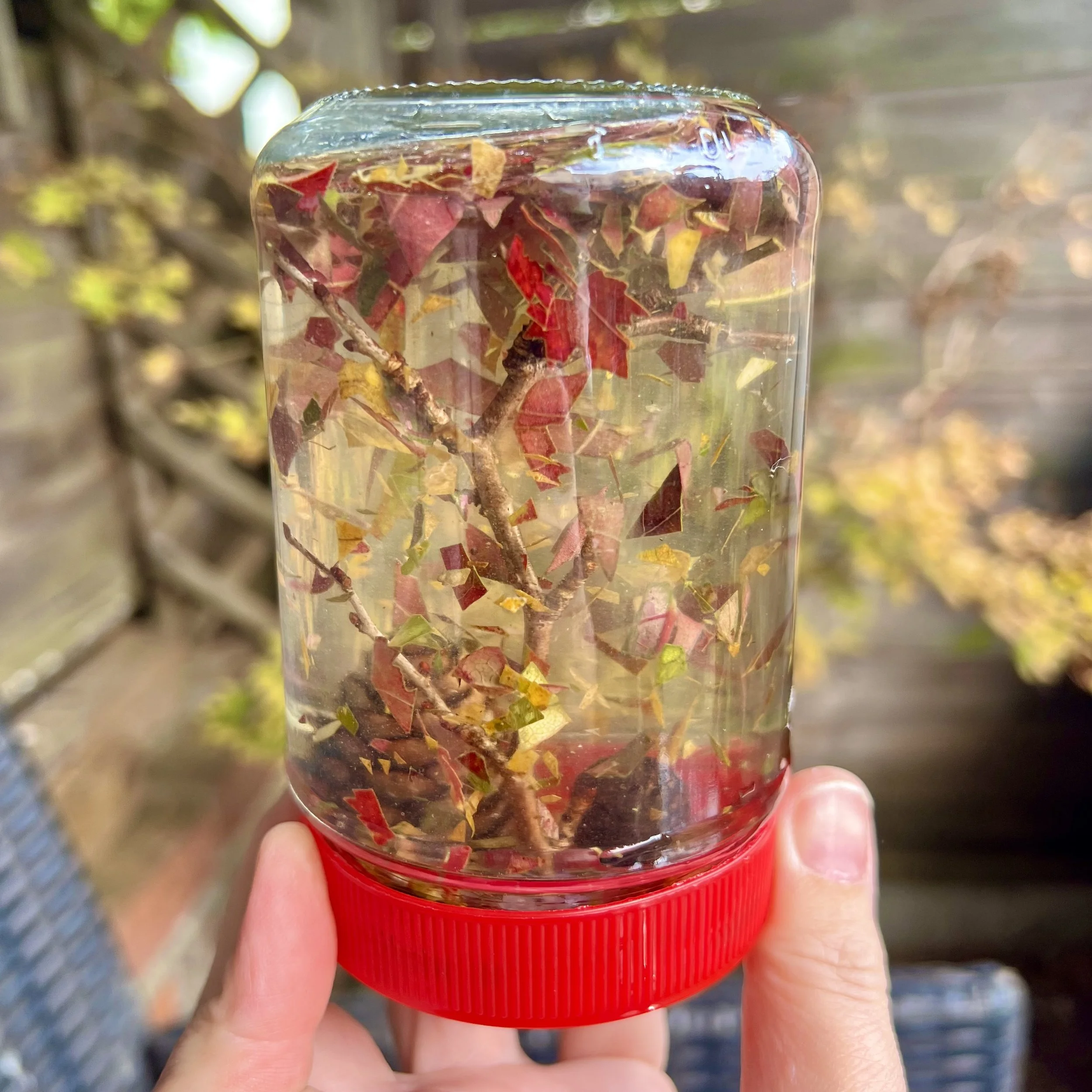 Make an autumn leaf snow globe - Mud & Bloom
