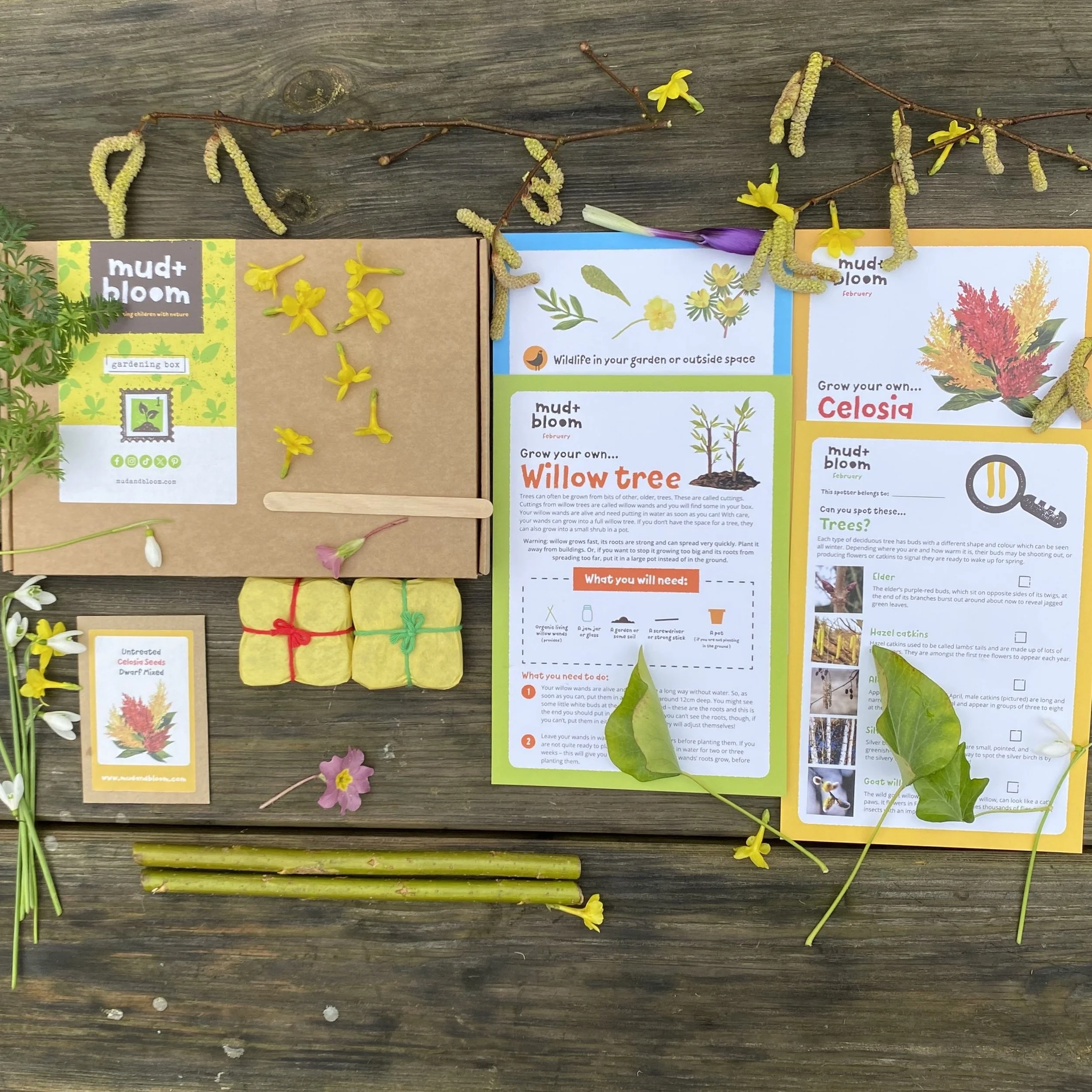 A gardening kit and informational pages about planting a willow tree and celosia flowers arranged on a wooden surface, with flowers, leaves, and plant stakes surrounding the materials.