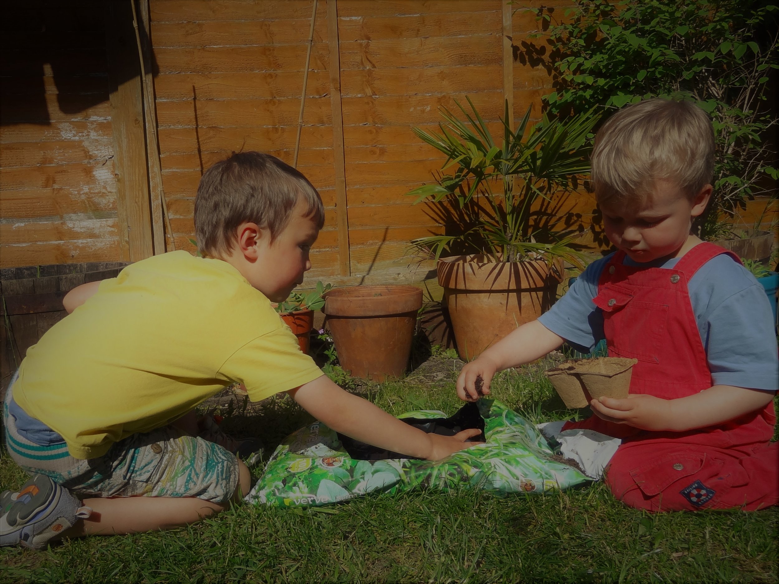 Filling biodegradable pots with seed compost