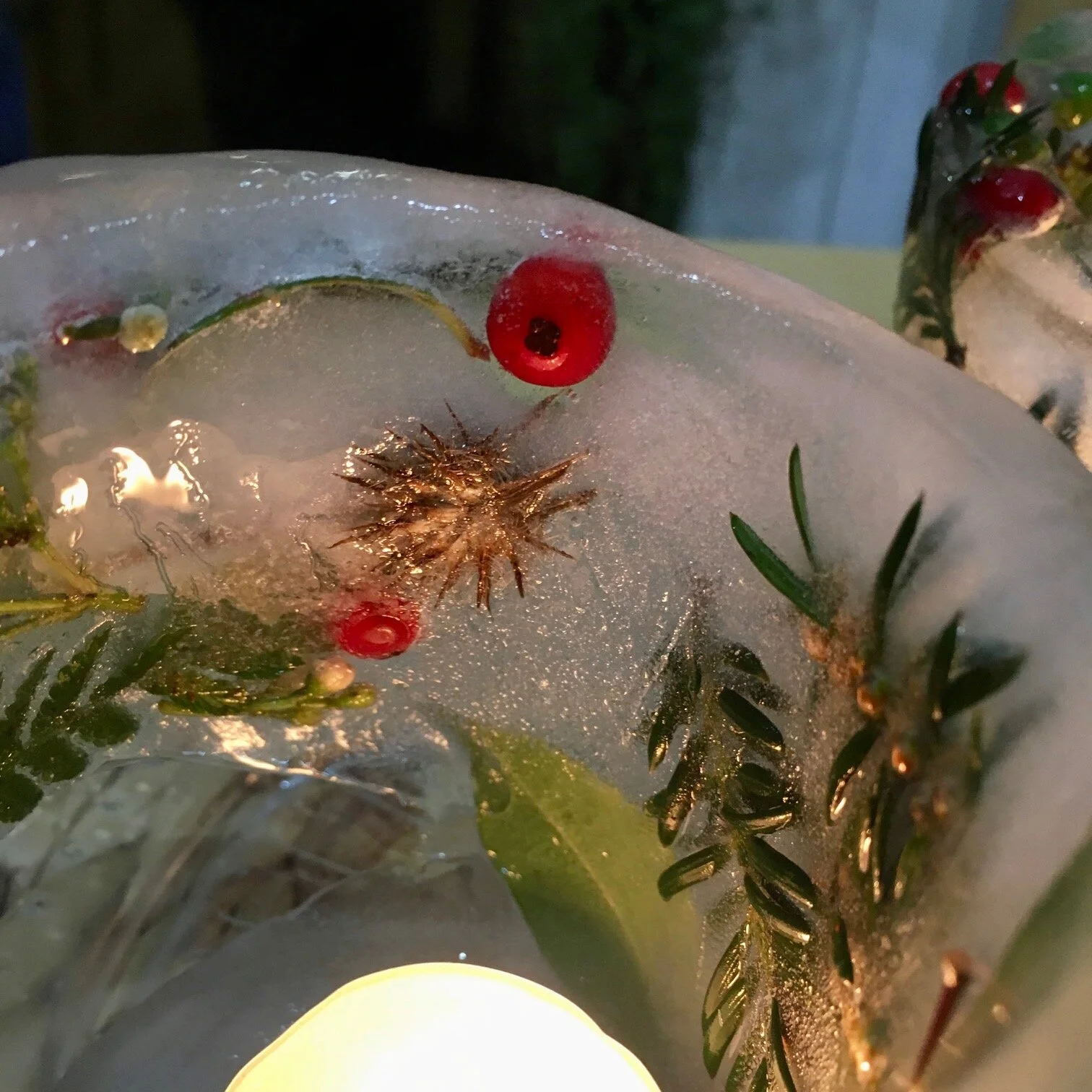 How to make an ice lantern - Mud & Bloom