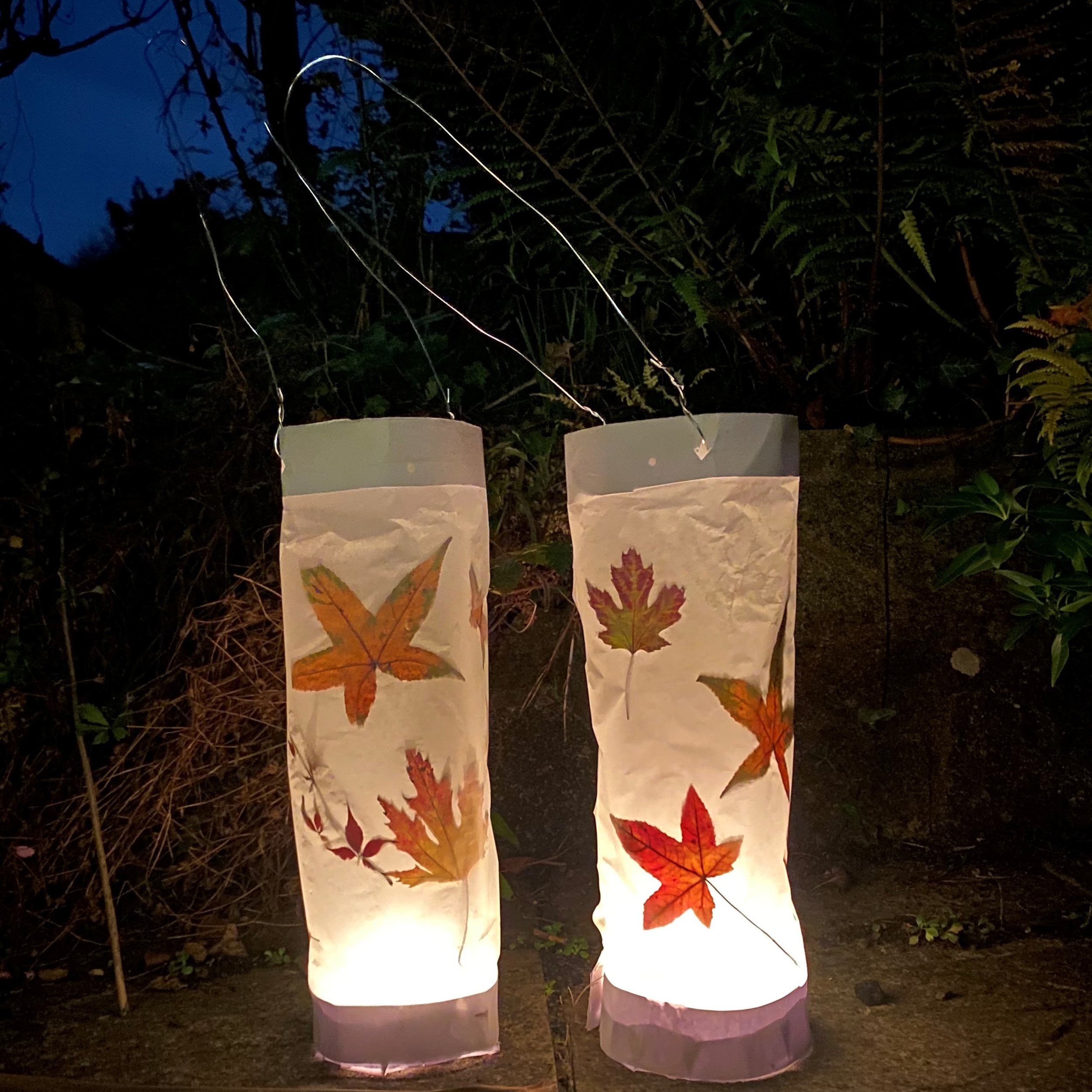 https://images.squarespace-cdn.com/content/v1/58dce485a5790a44f40dbde6/1637093954737-BL3AZUEY8N3H08FFRUST/Leaf+lanterns+square.jpeg