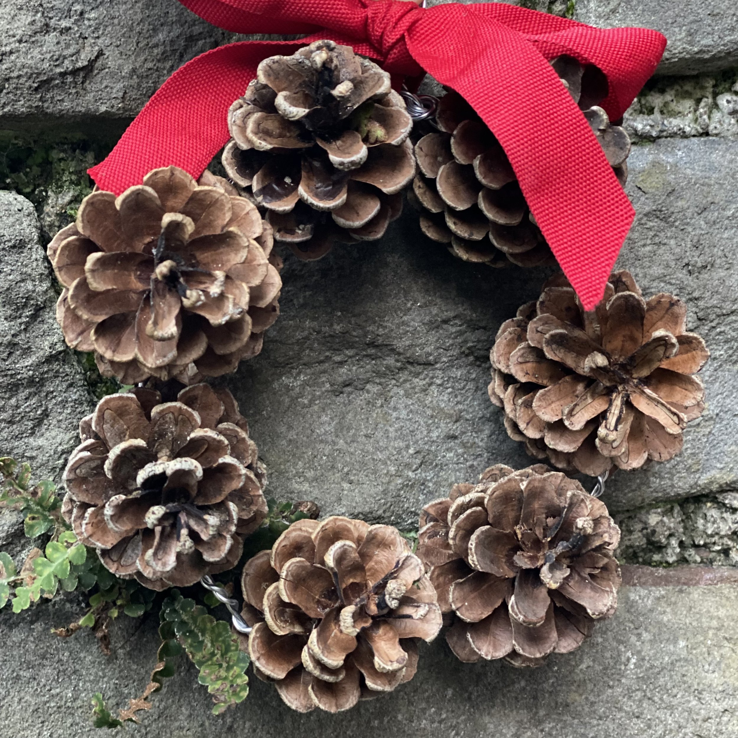 Make a pinecone wreath - Mud & Bloom