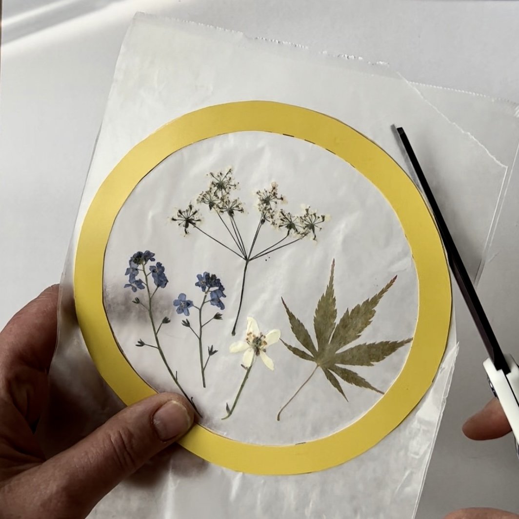 DIY: Pressed Flower Suncatchers – Brighter Day Press