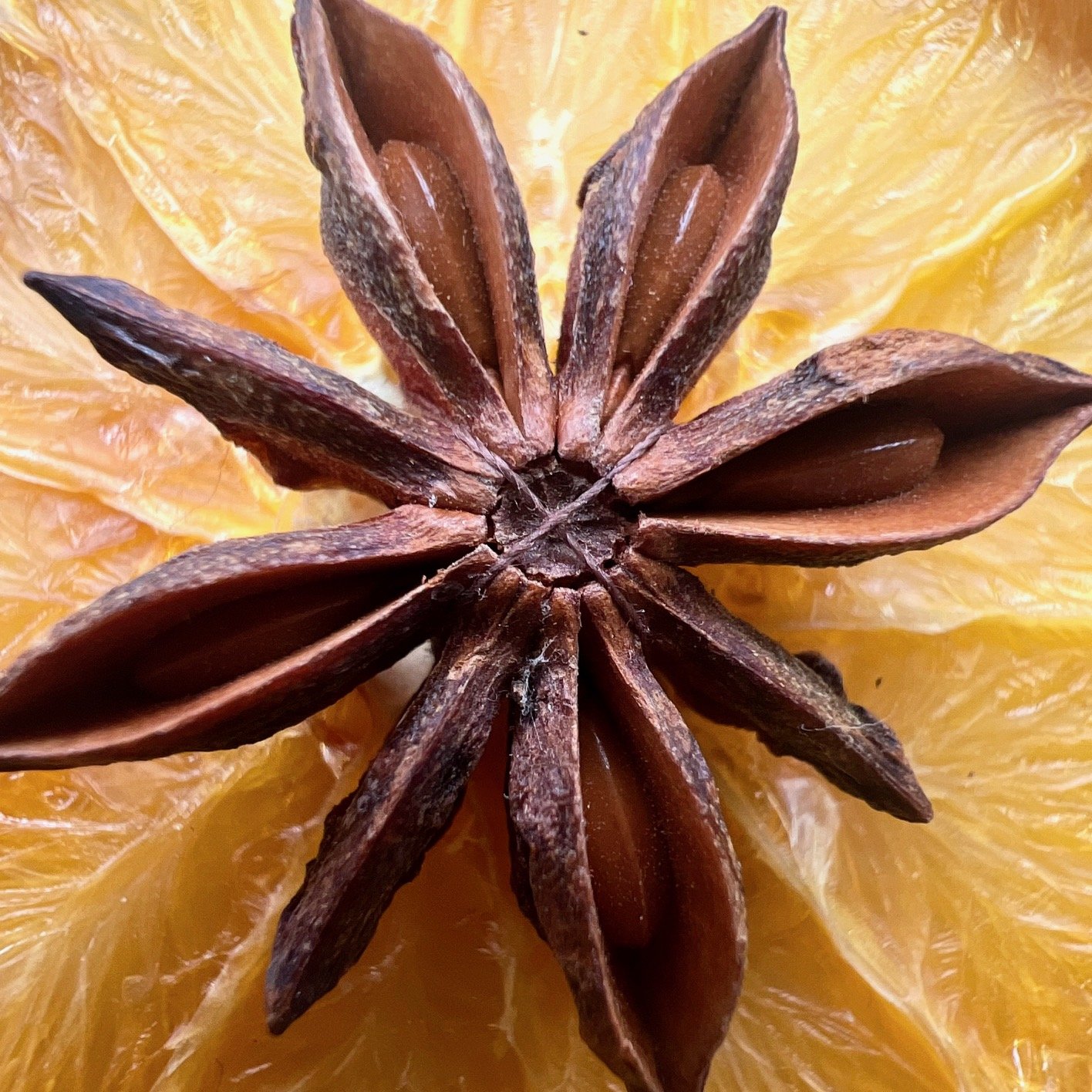 Dried orange slice and star anise garland - Mud & Bloom