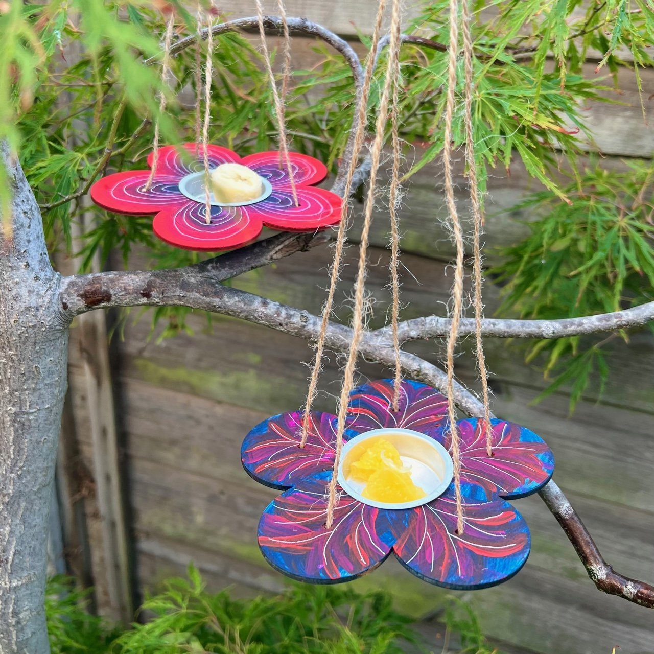 Butterfly Feeder Kit example