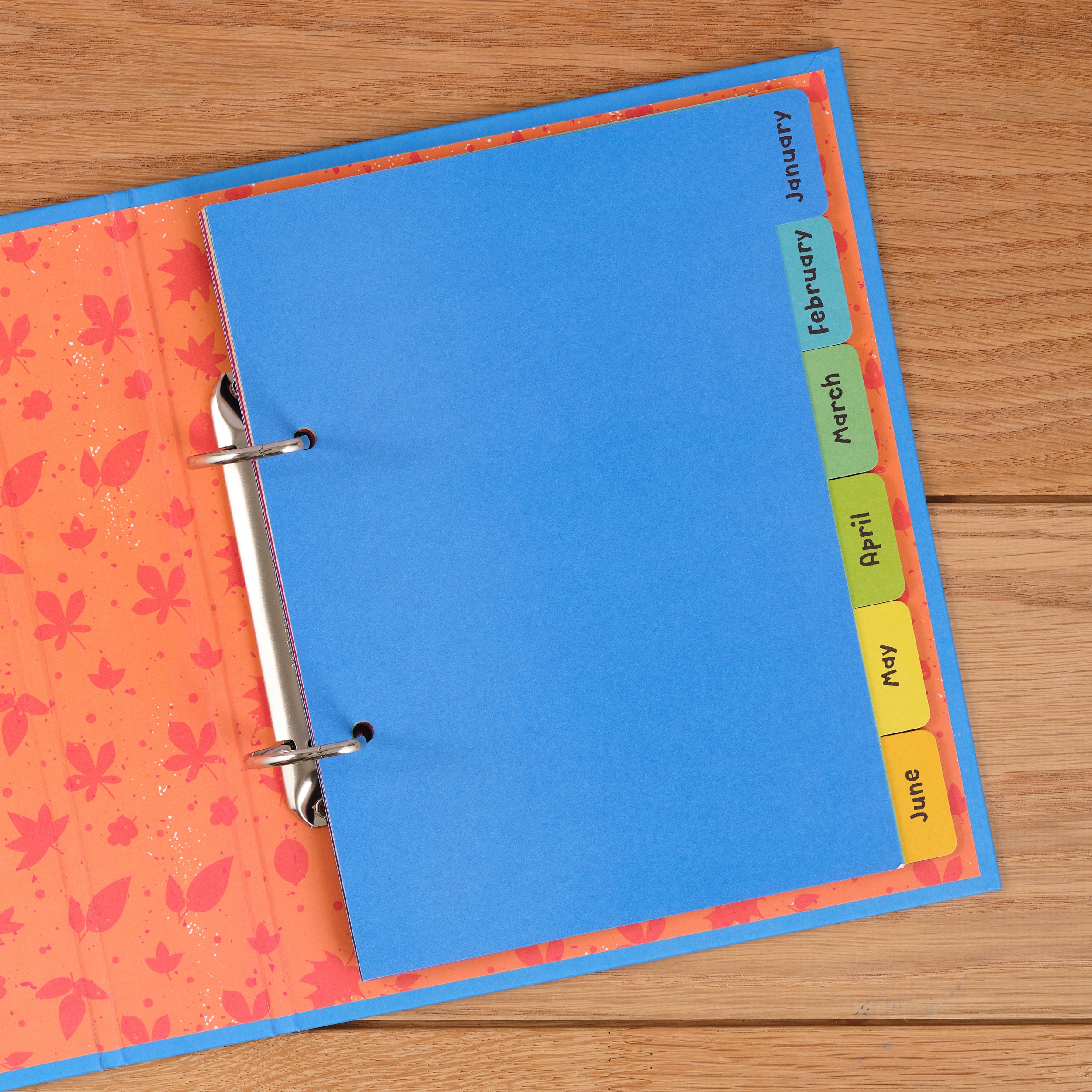 Blue Ring Binder interior